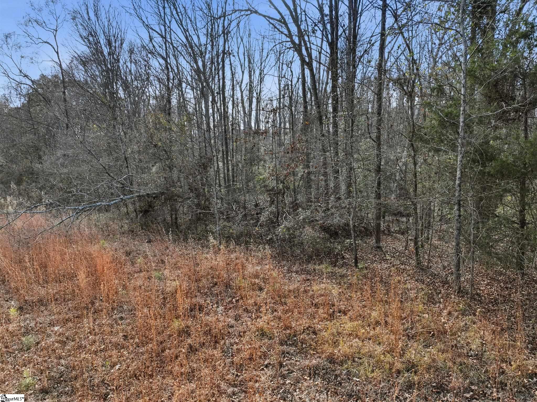 1111 Fork Shoals Road Property Photo 29