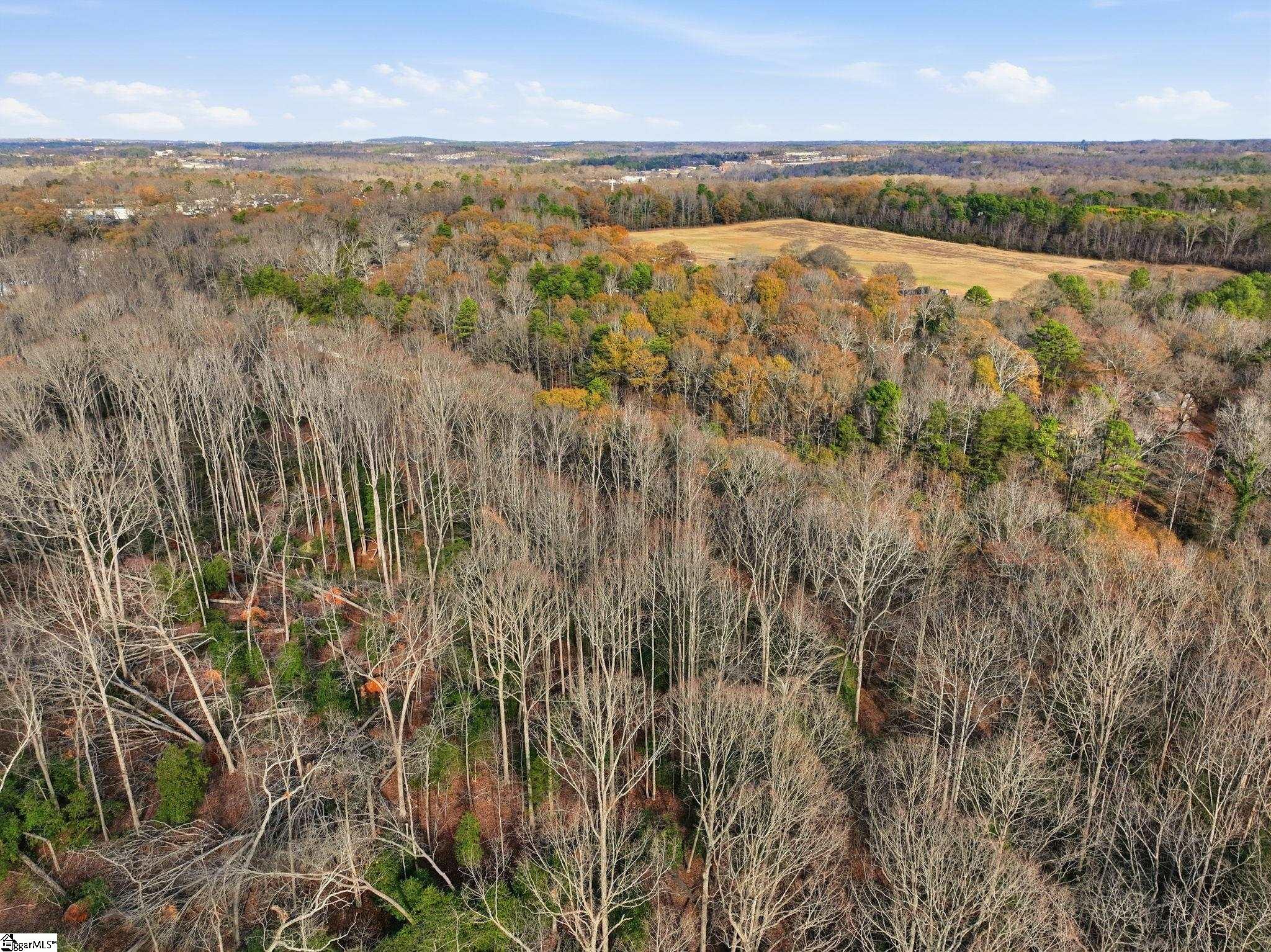 1111 Fork Shoals Road Property Photo 32