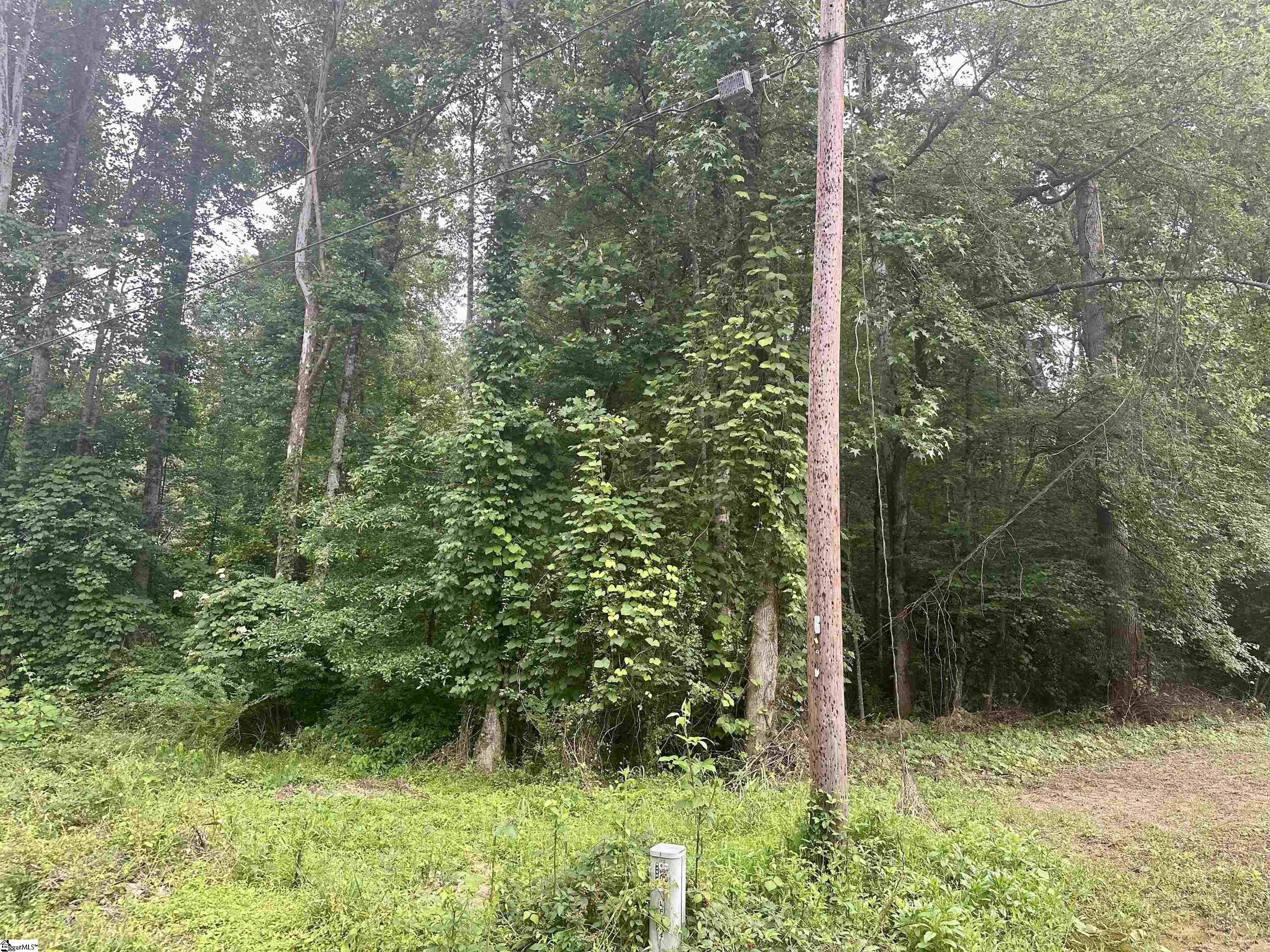 00 Dacusville Road Property Photo 2