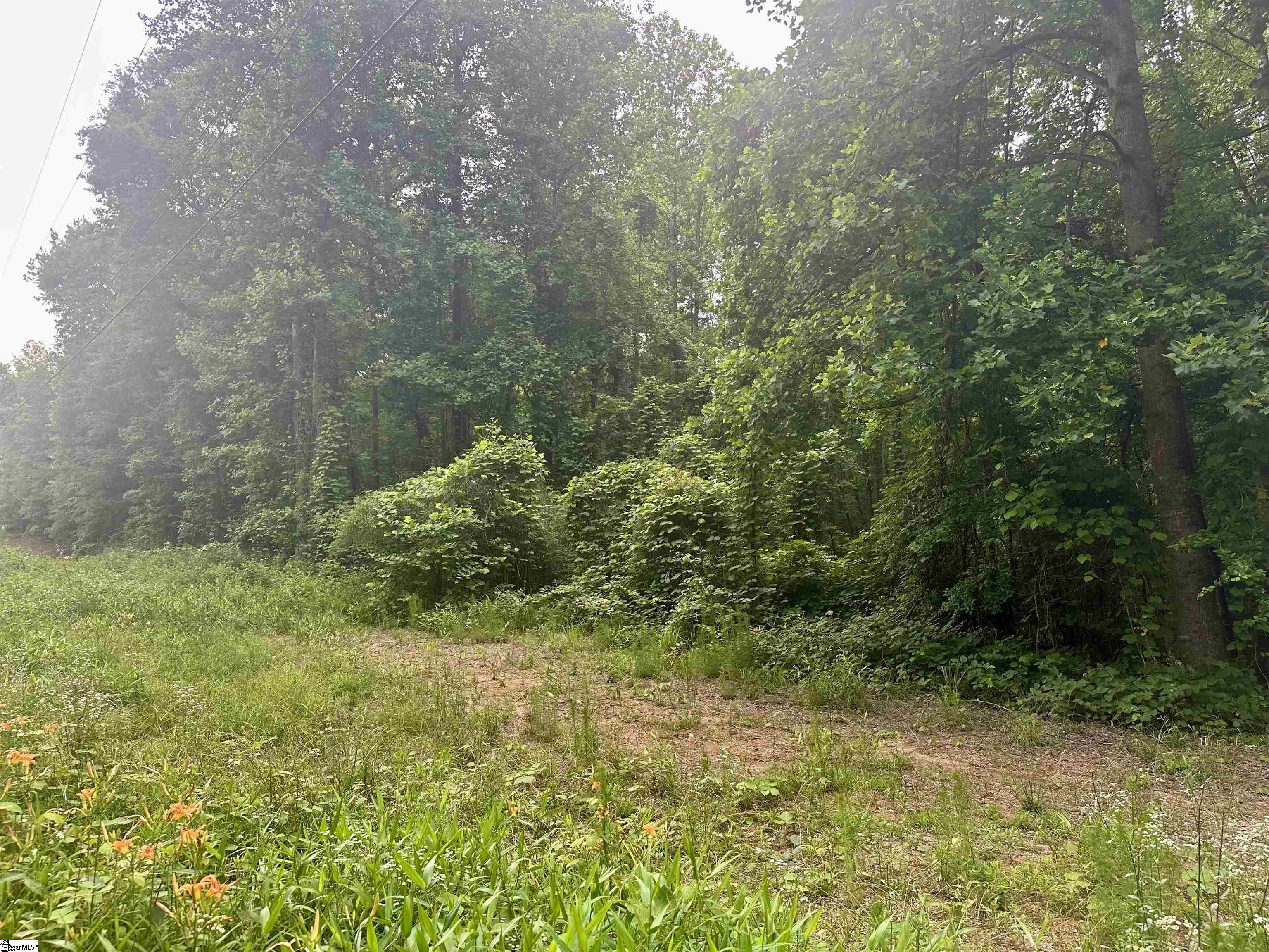 00 Dacusville Road Property Photo 3