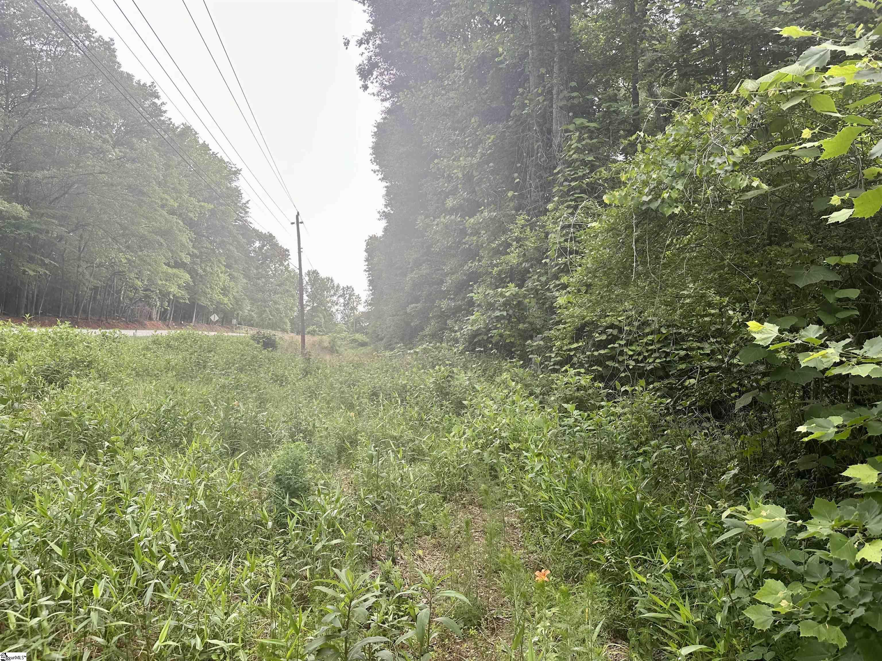 00 Dacusville Road Property Photo 4