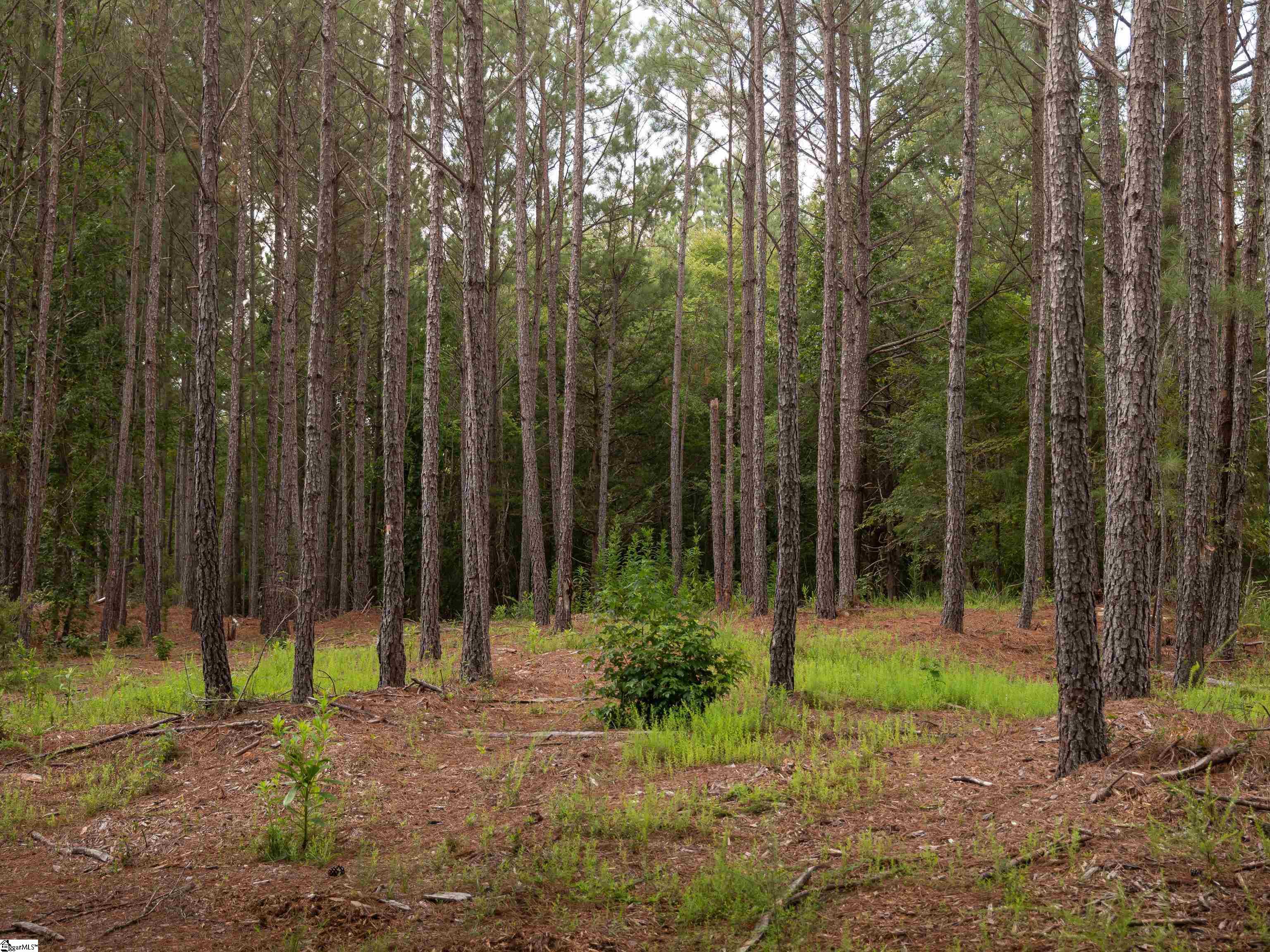 02 Neal Shoals Road Property Photo 12