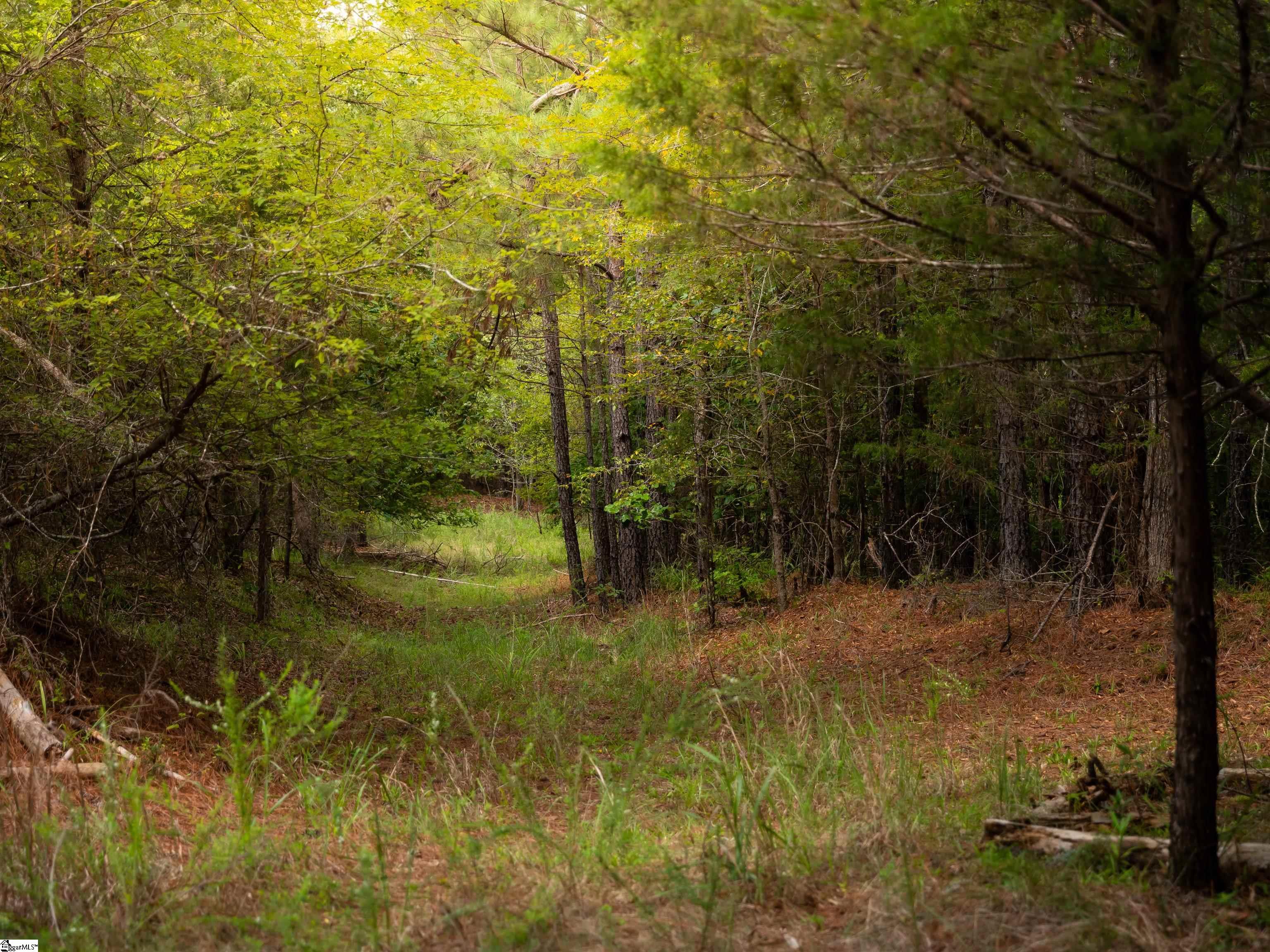 02 Neal Shoals Road Property Photo 13