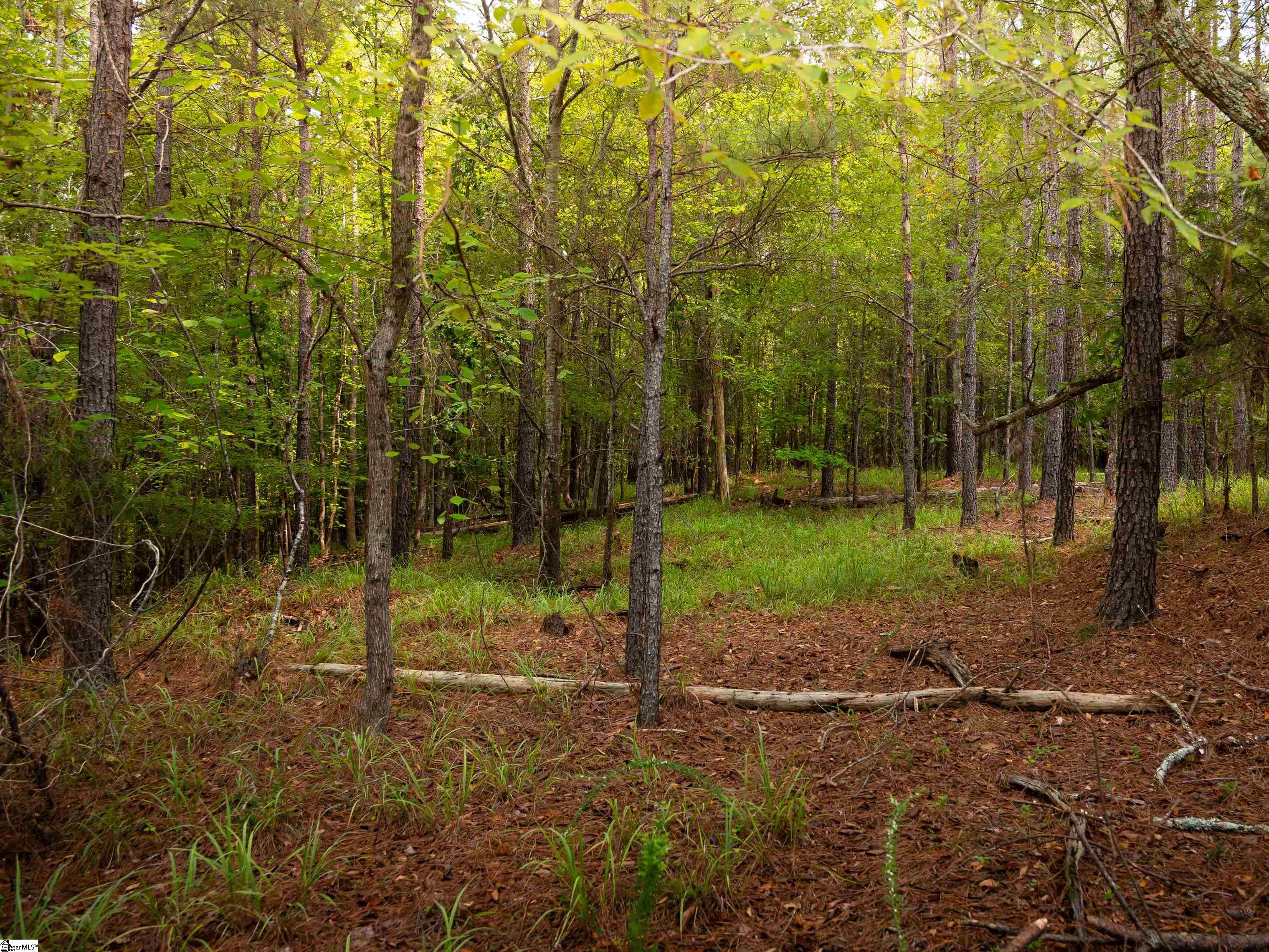 02 Neal Shoals Road Property Photo 16