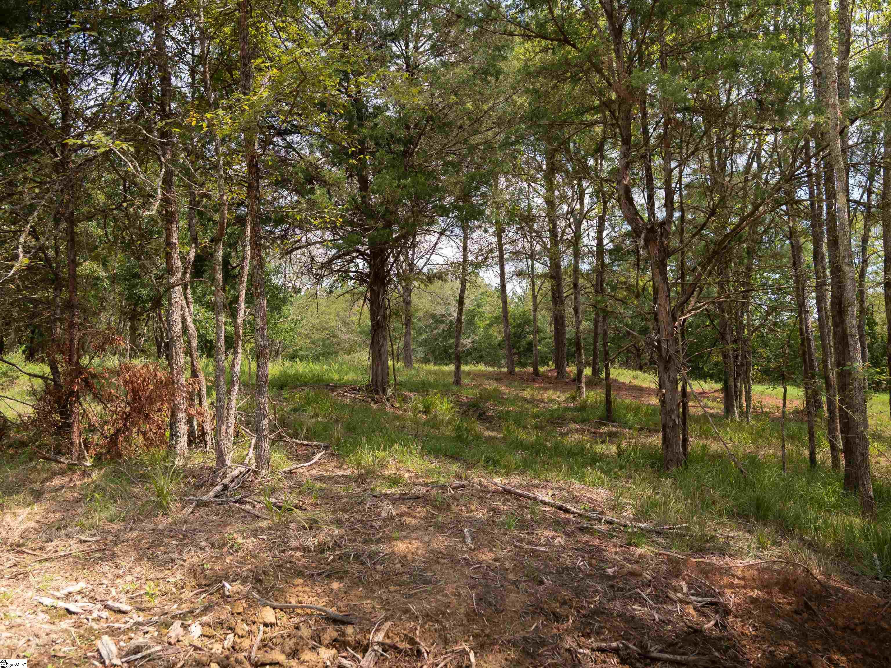 02 Neal Shoals Road Property Photo 18