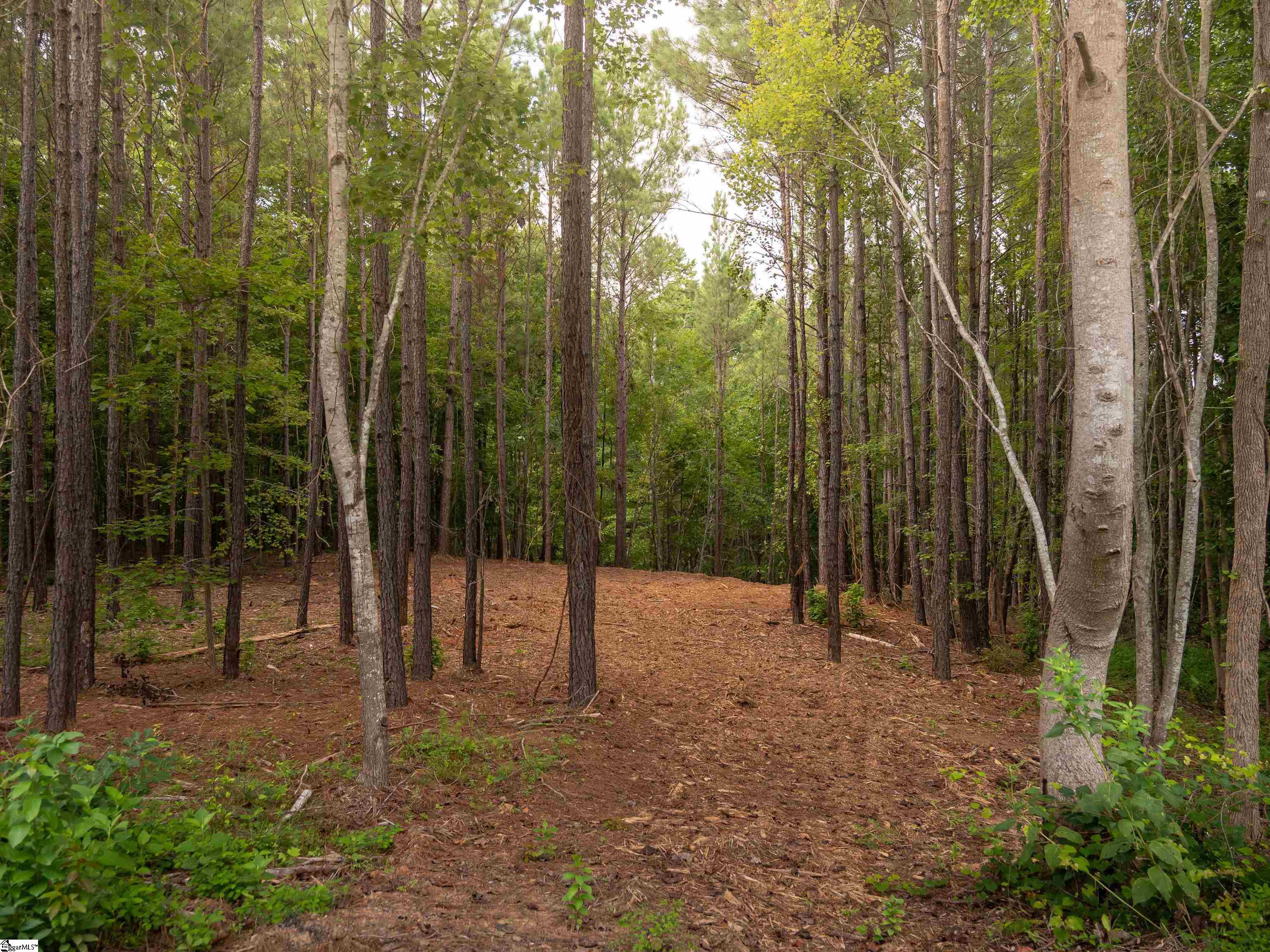 02 Neal Shoals Road Property Photo 19