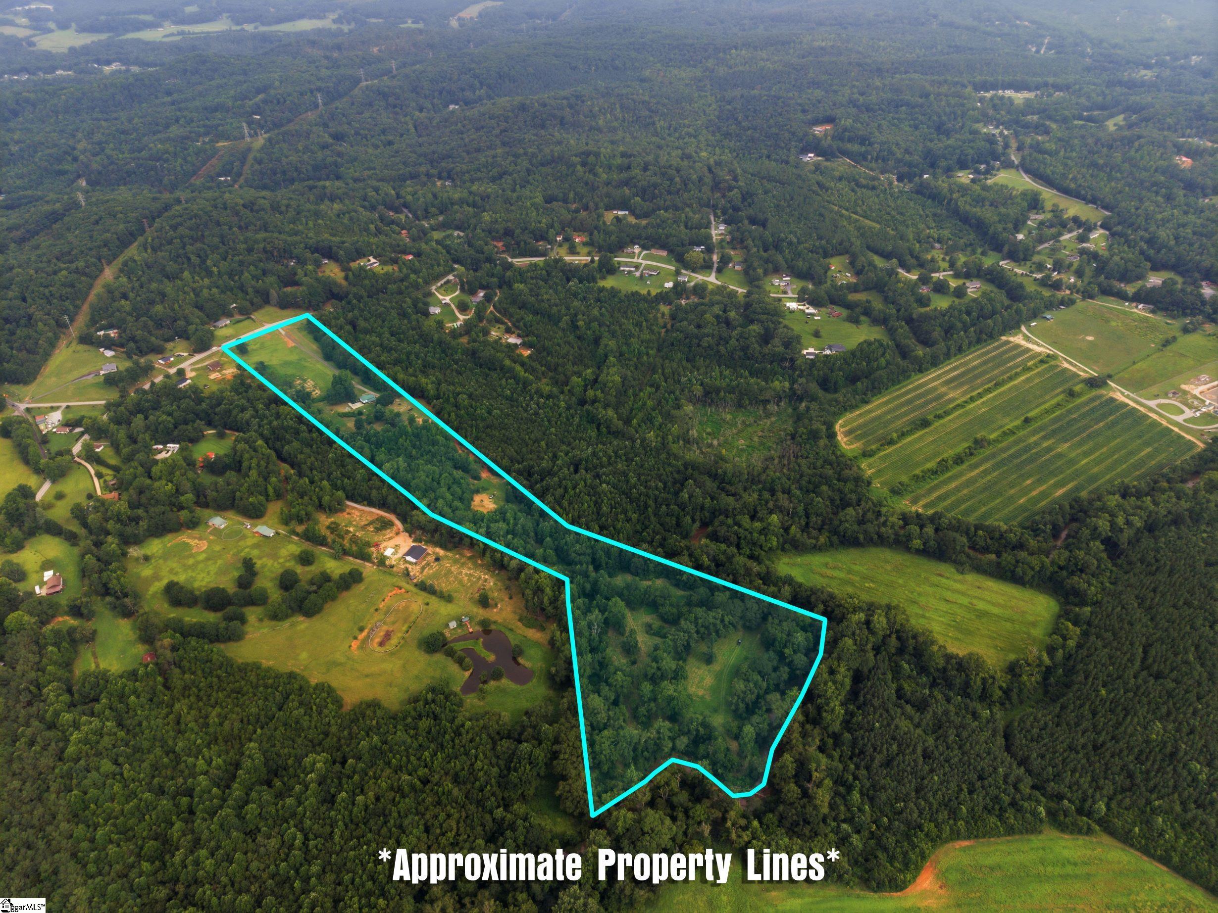 553 Dacusville Road Property Photo 6