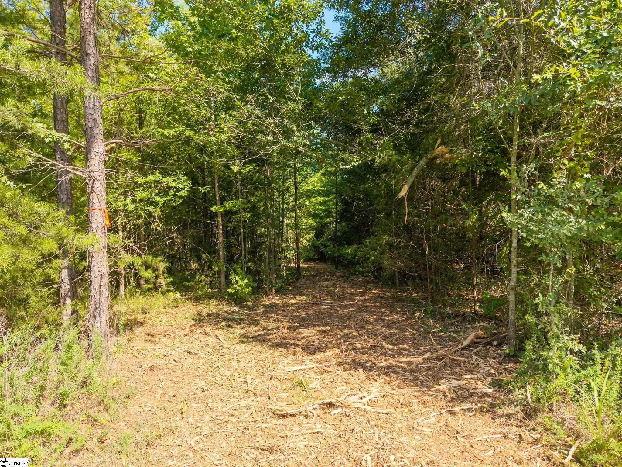 00 Knighton Chapel And Allen Bridge Road Property Photo 9