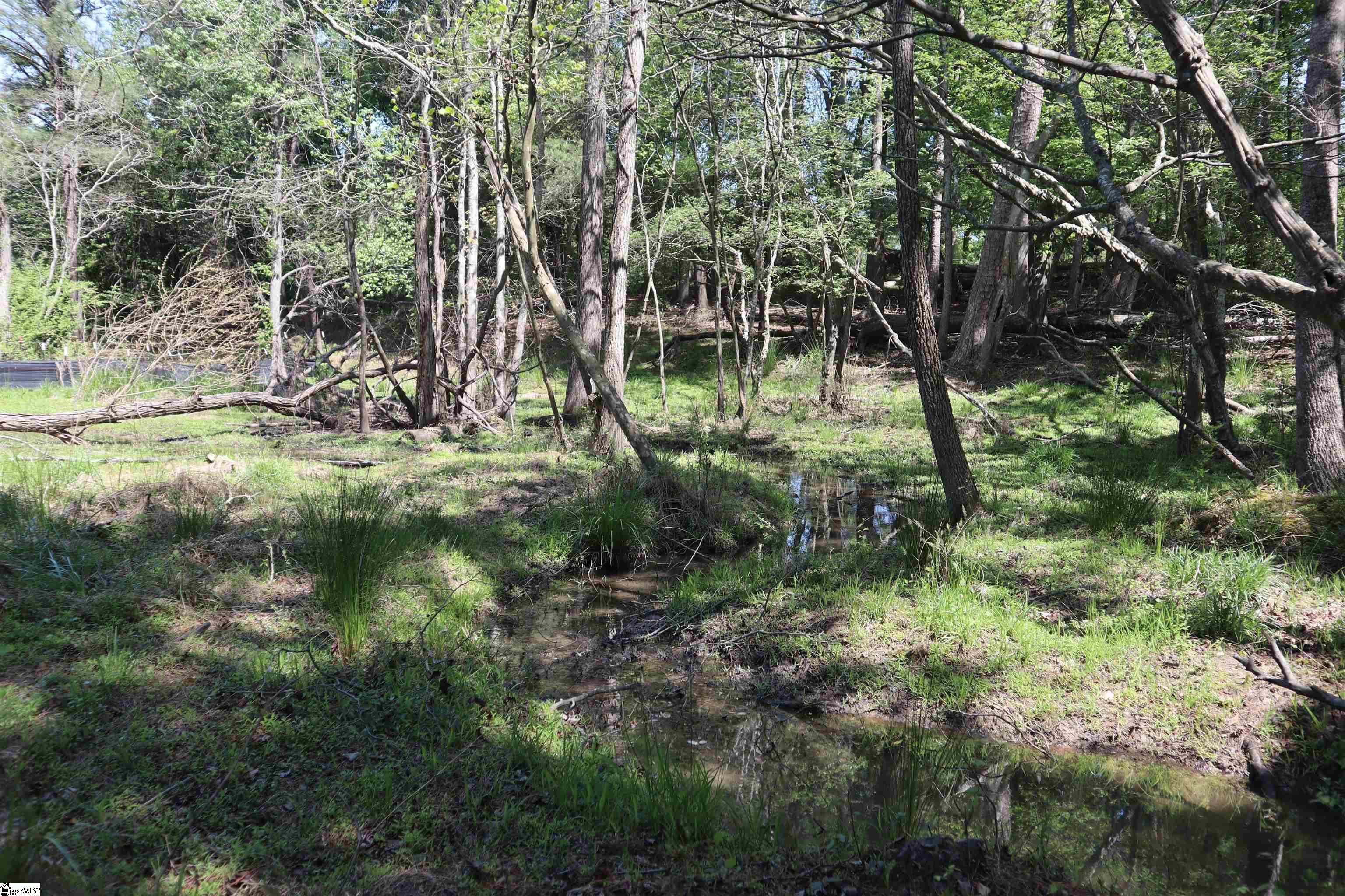 0 Old Canaan Tract 7 Road Property Photo 2