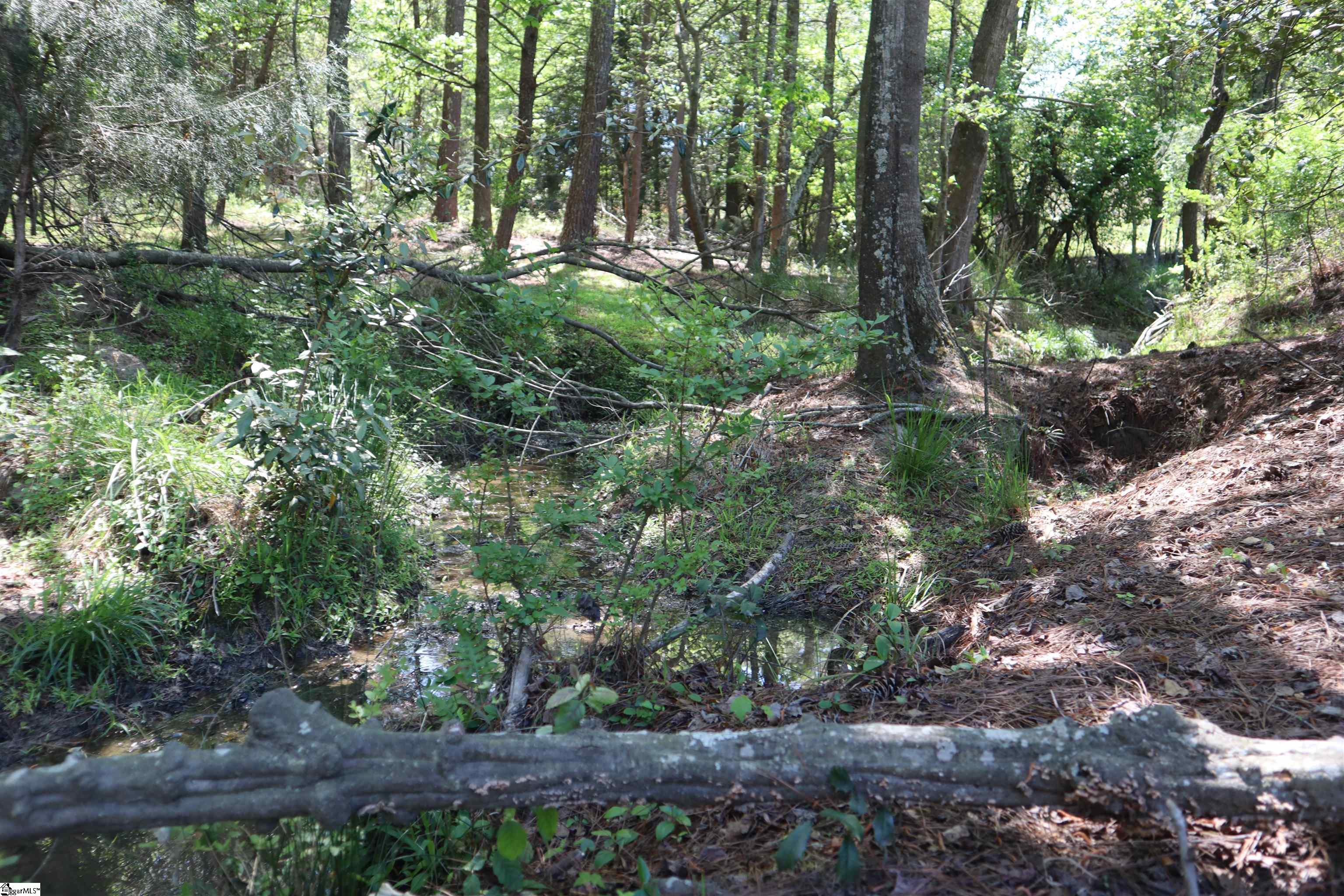 0 Old Canaan Tract 7 Road Property Photo 4