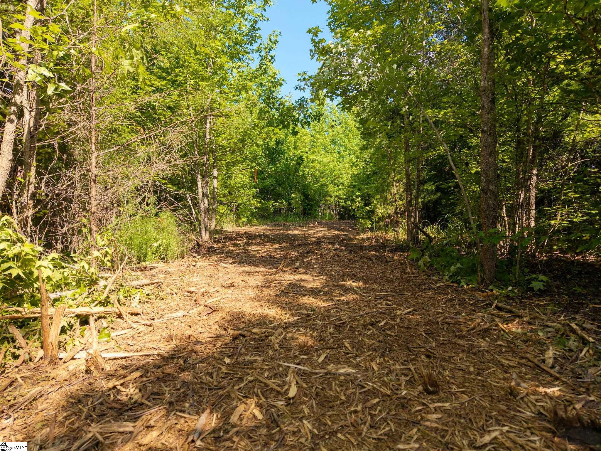 00 Allen Bridge Road Property Photo 6