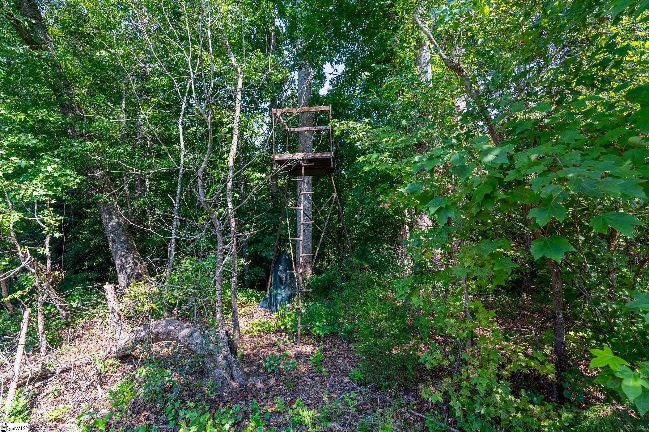 0 Blacks Mill Road Property Photo 4