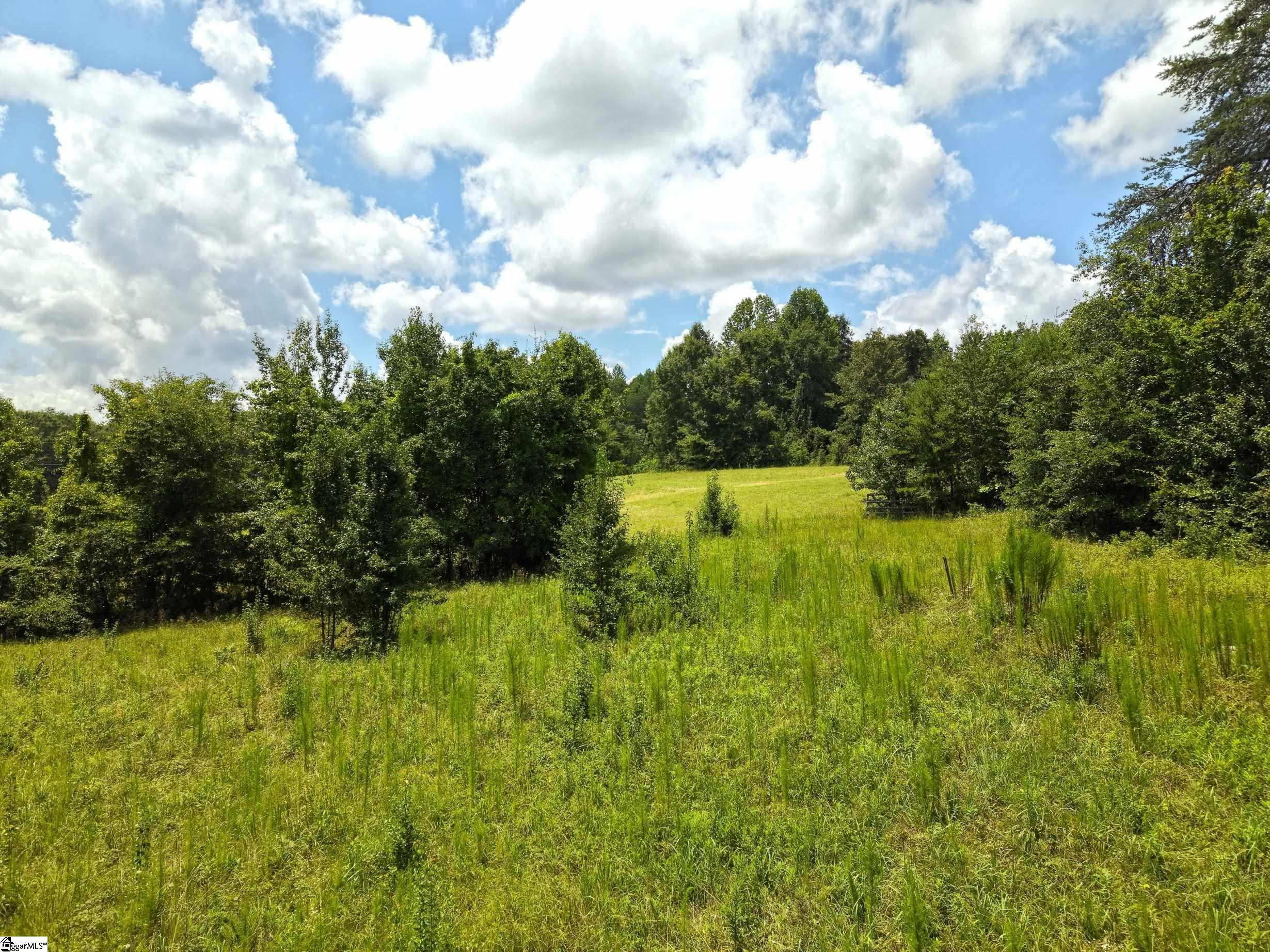 164 Marys Mountain Road Property Photo 5