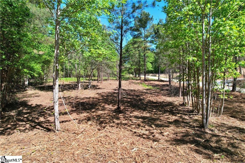 Lot 134 Mcalister Road Property Photo 2
