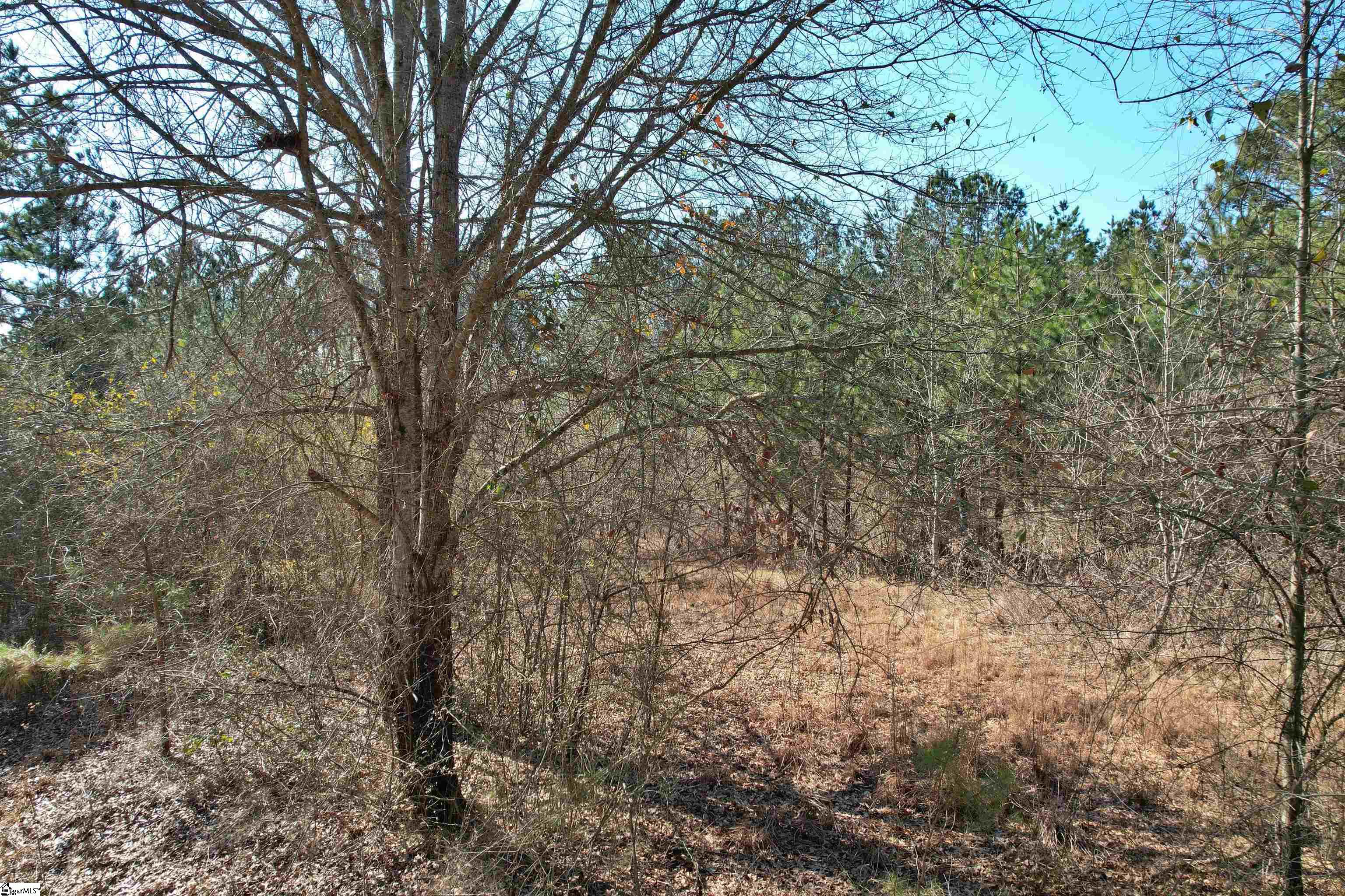 Lot 134 Mcalister Road Property Photo 10