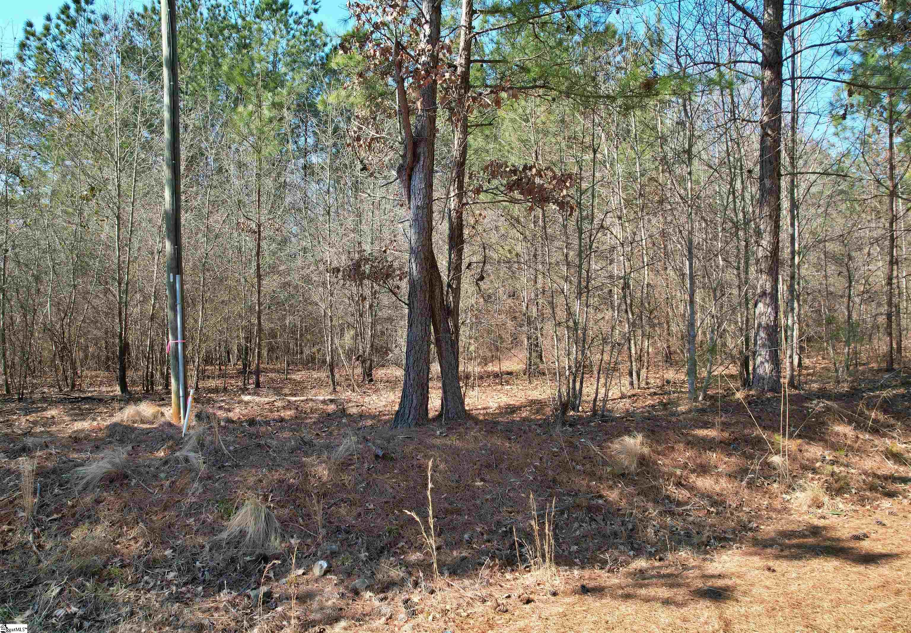 Lot 134 Mcalister Road Property Photo 12