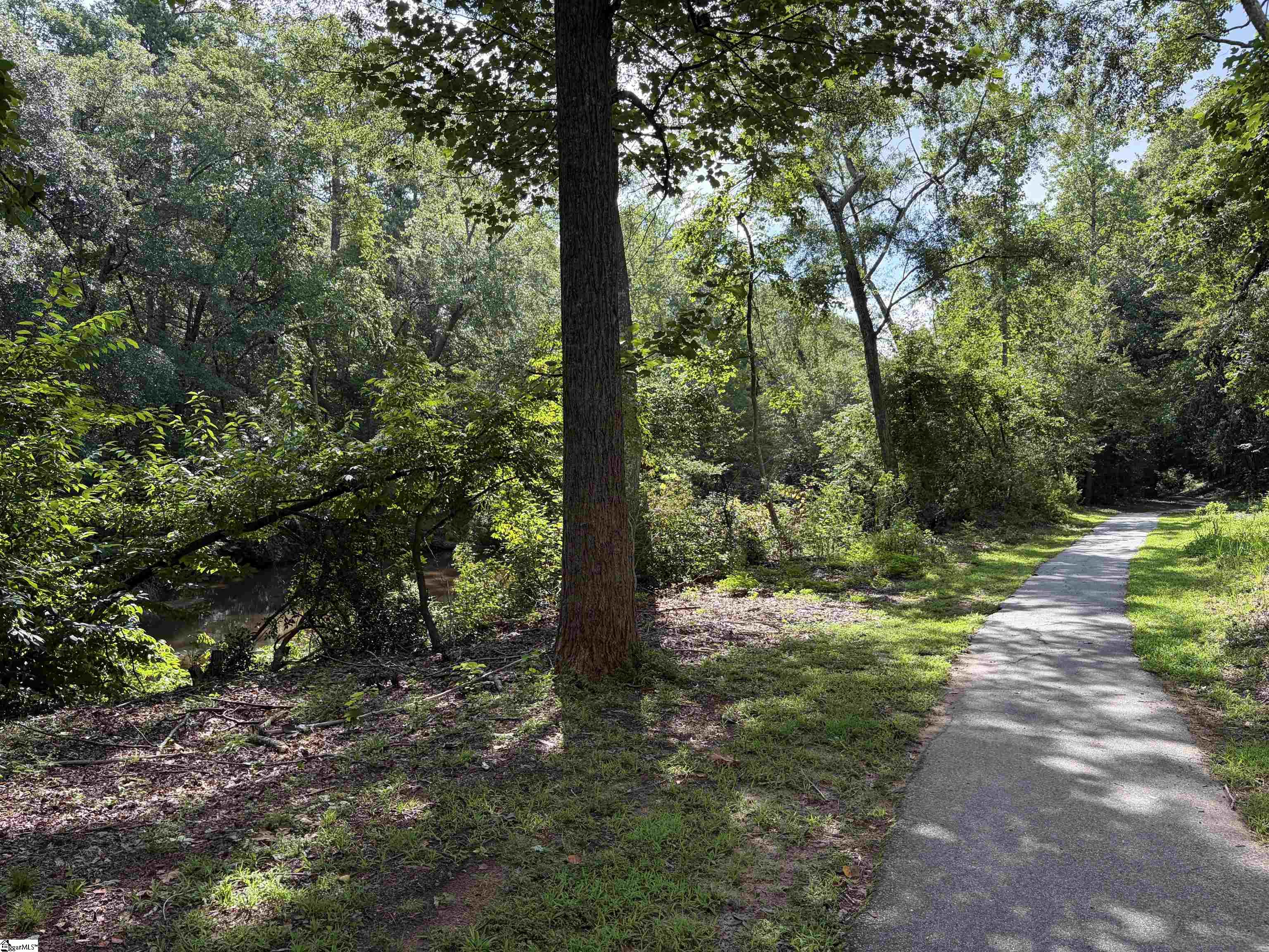 303 Pelham Falls Drive Property Photo 26