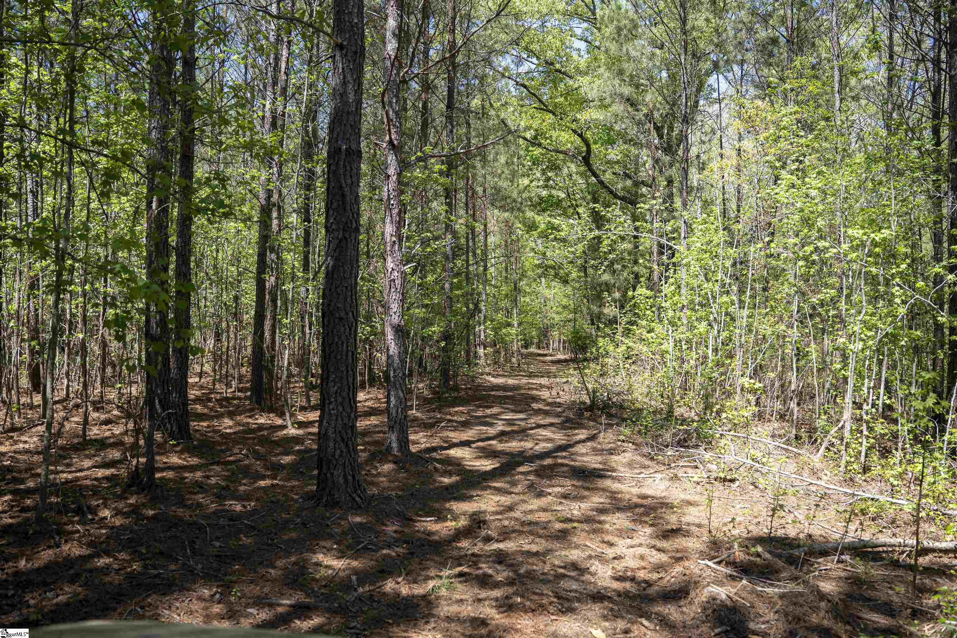 00 Loftis Road Property Photo 11