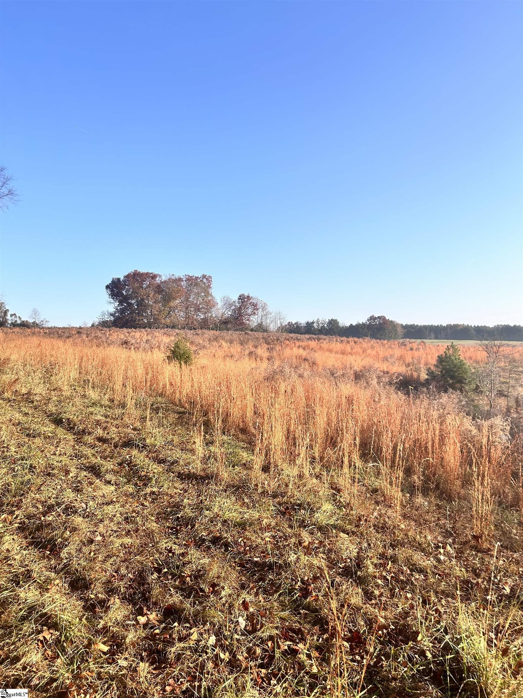 00 Rocky River Ame Church Road Property Photo 10