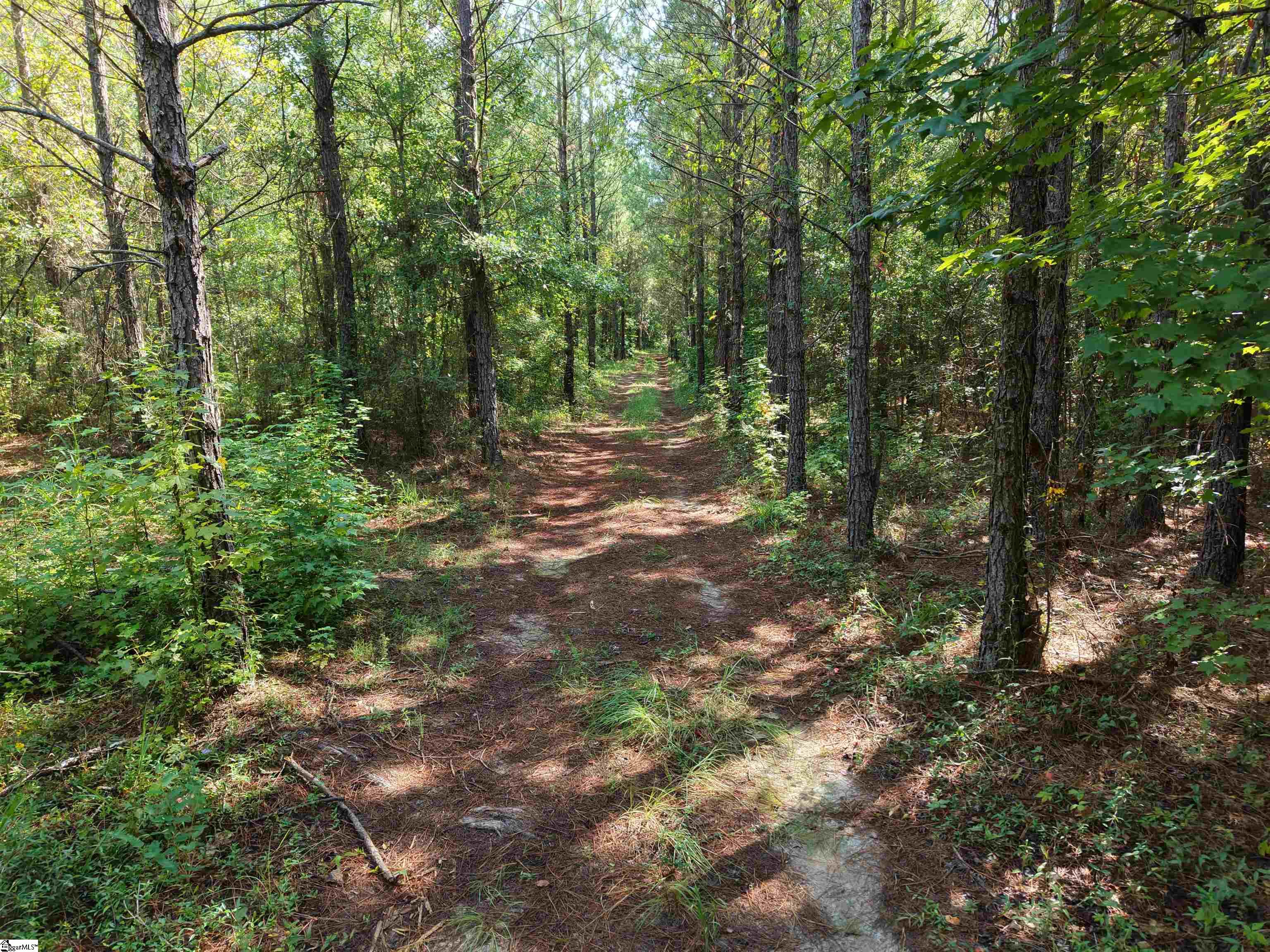 0 Able Road Property Photo 3
