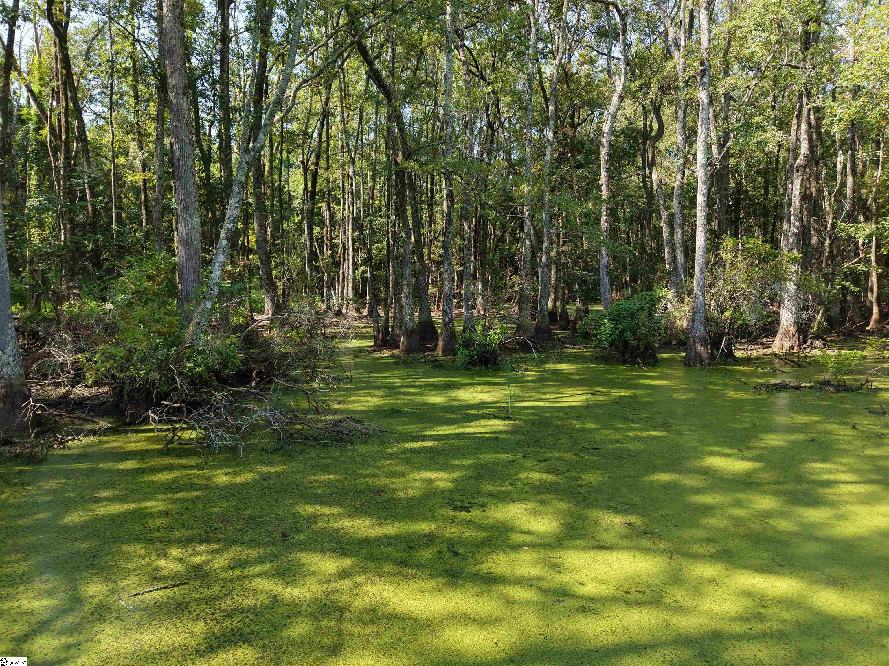 0 Able Road Property Photo 4
