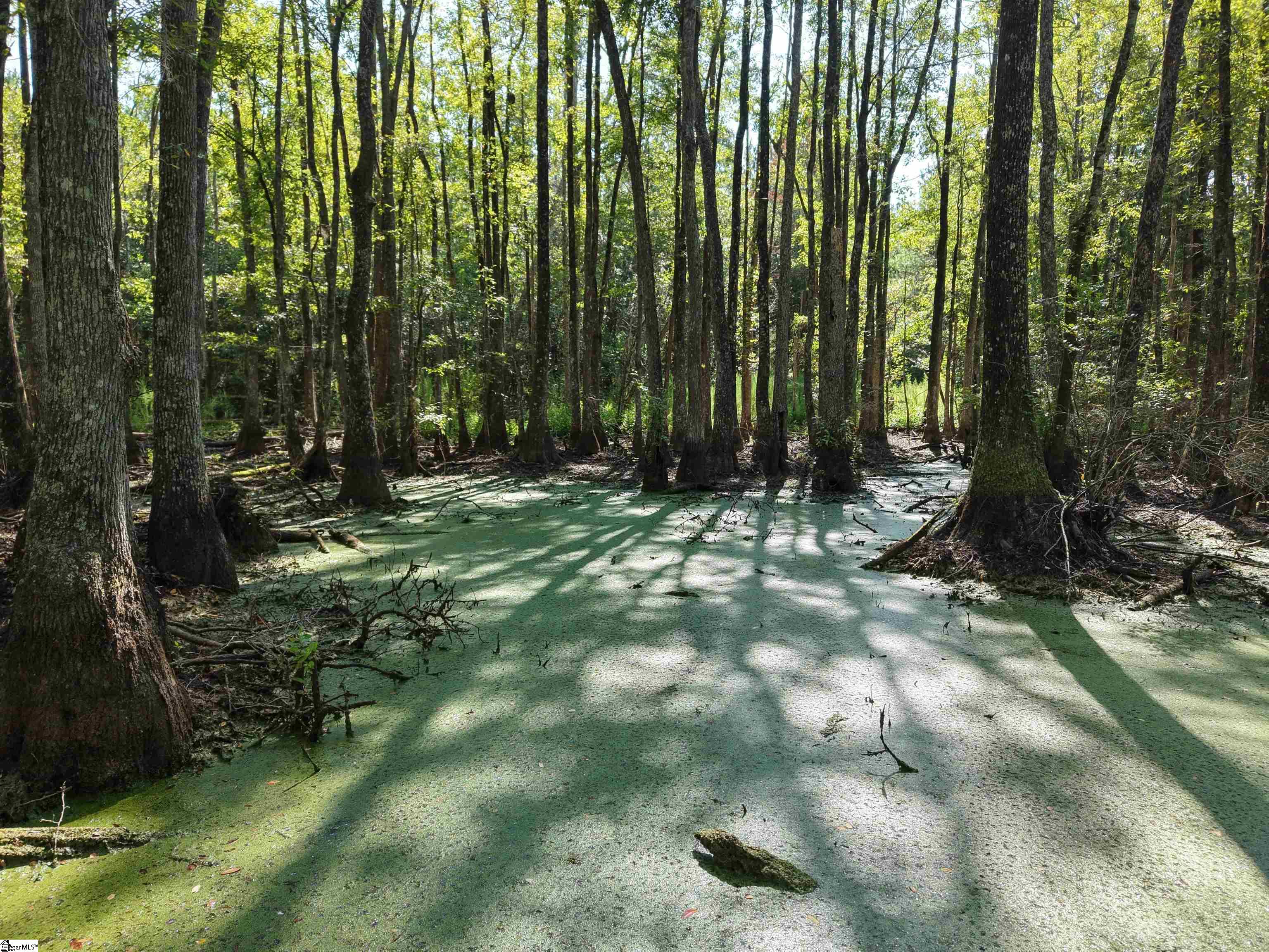 0 Able Road Property Photo 5