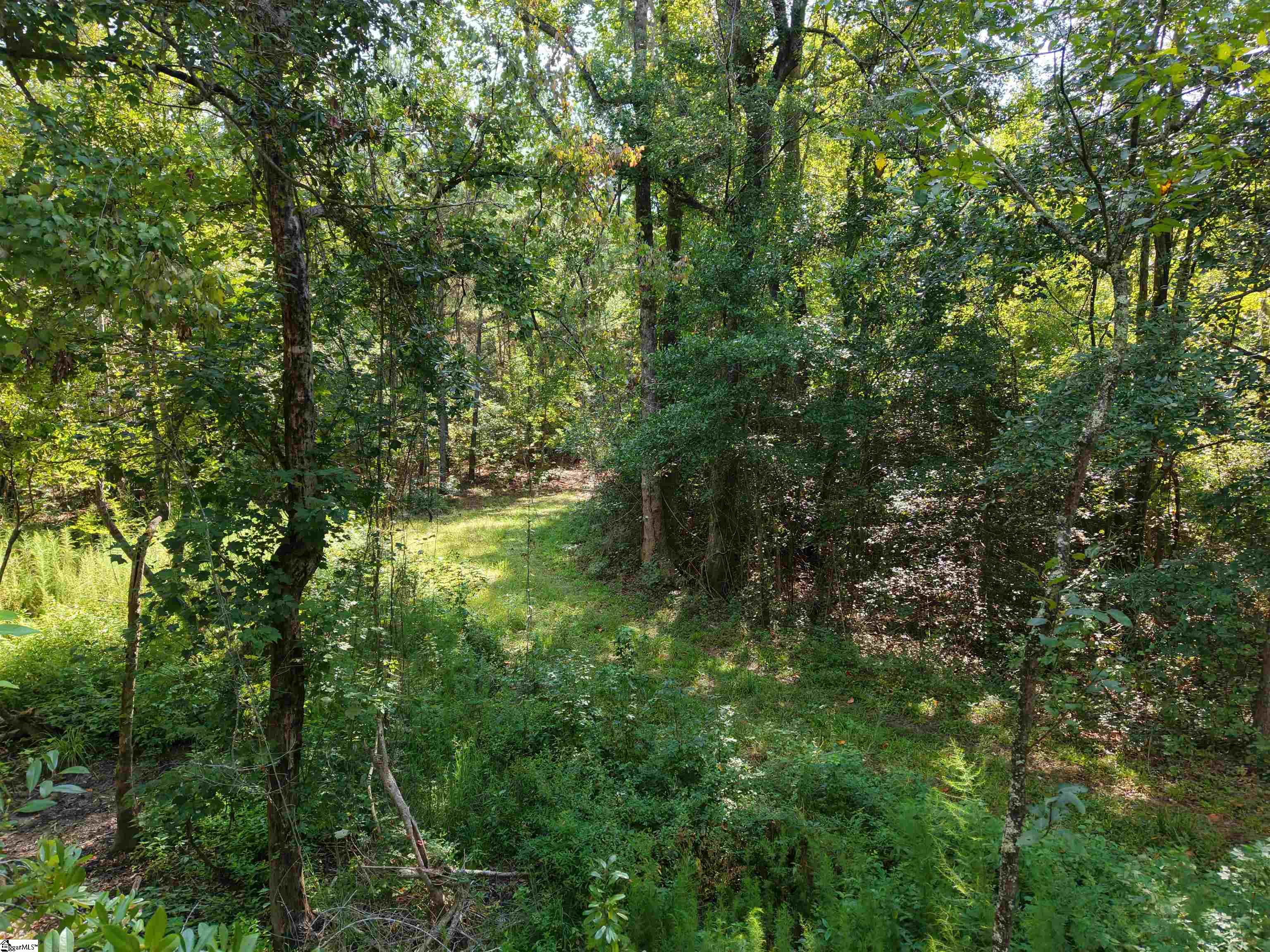 0 Able Road Property Photo 6