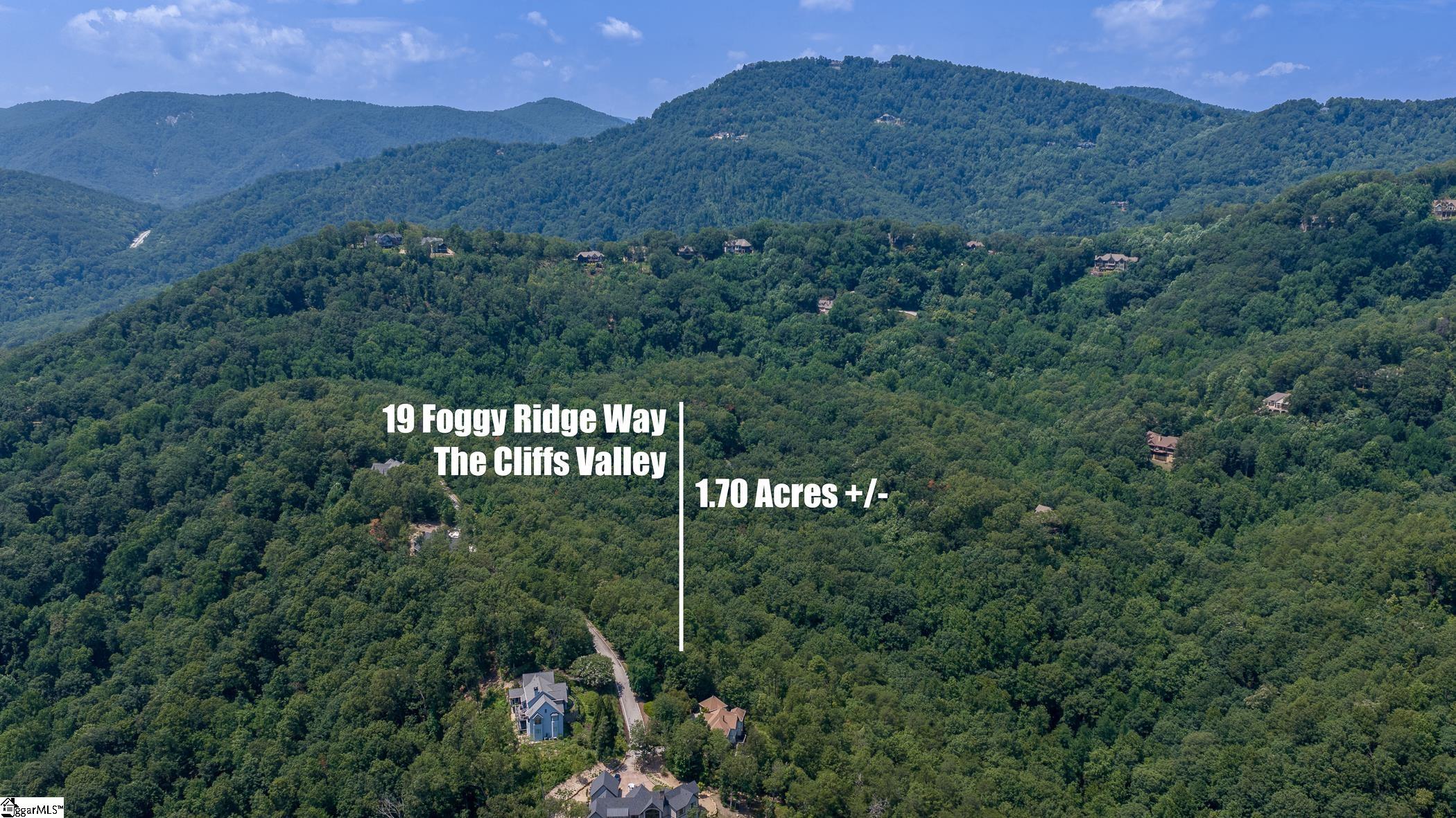 19 Foggy Ridge Way Property Photo 4