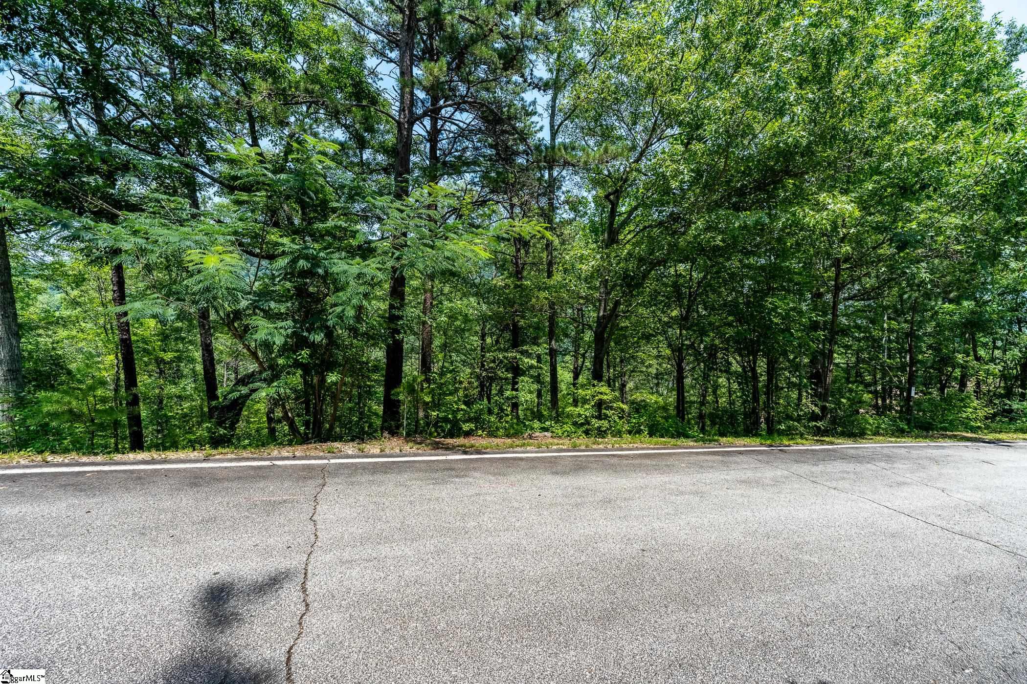 19 Foggy Ridge Way Property Photo 9