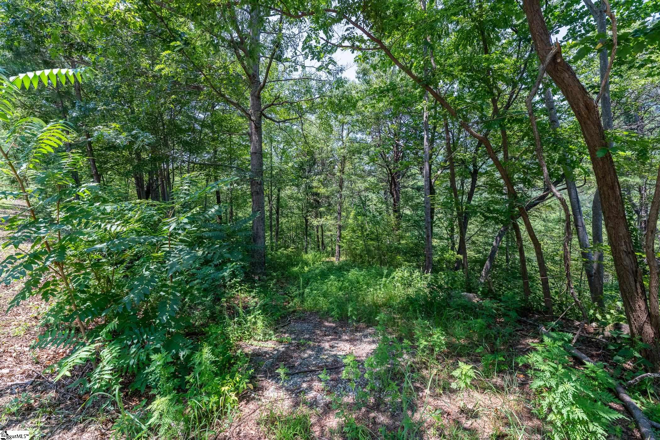 19 Foggy Ridge Way Property Photo 10