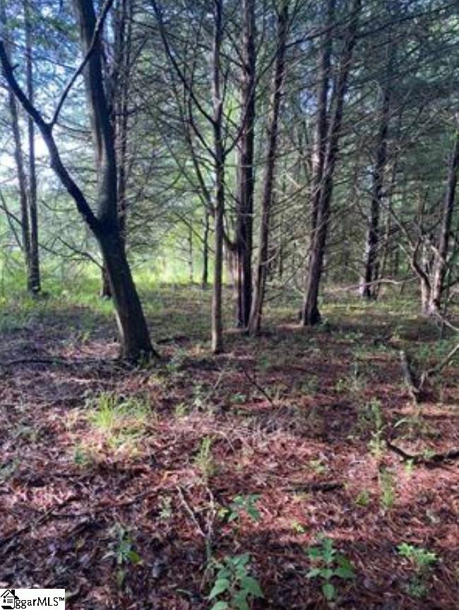 0 Mount Shoals Road Property Photo 2