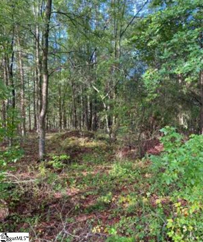 0 Mount Shoals Road Property Photo 3