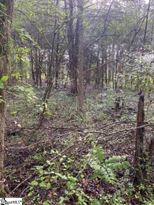 0 Mount Shoals Road Property Photo 4