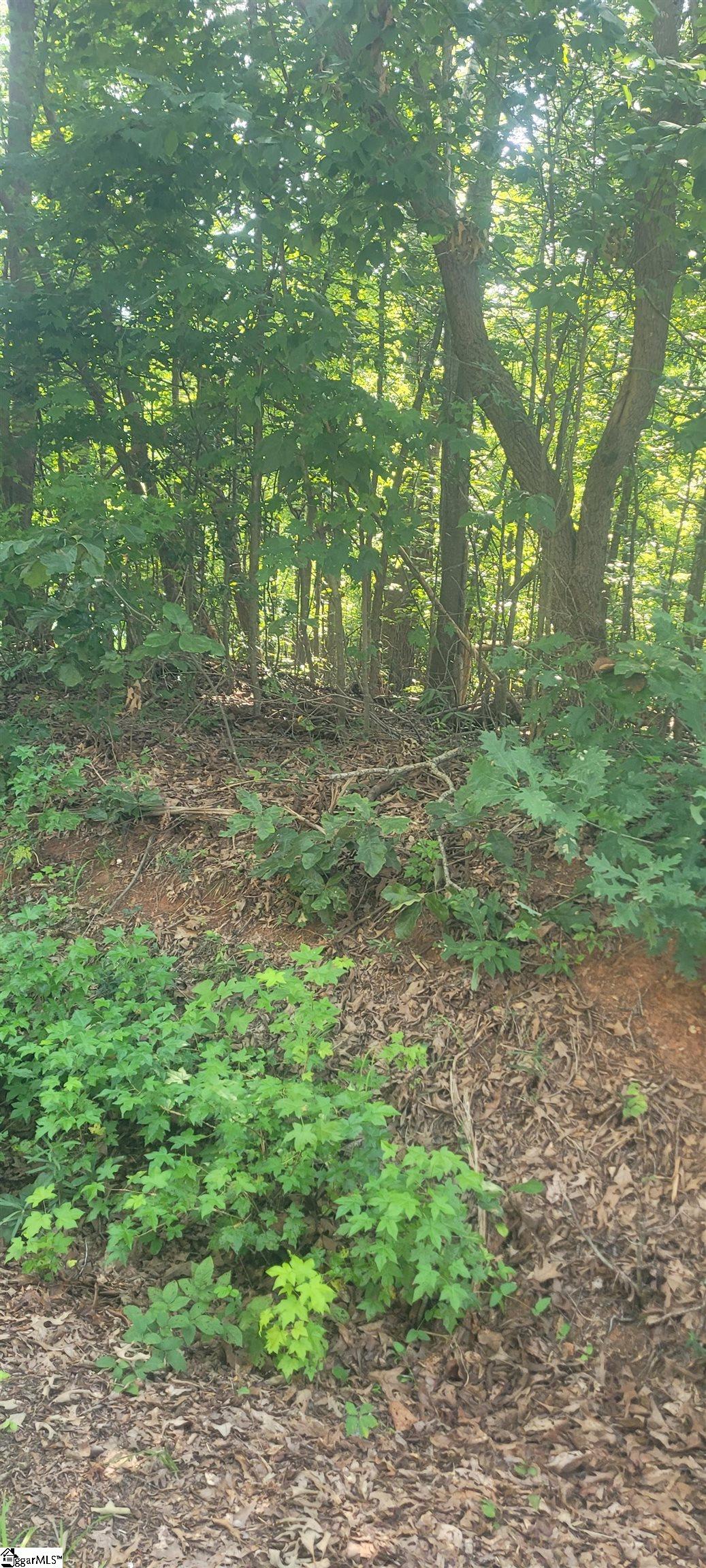 00 Conner Boulevard Property Photo 4