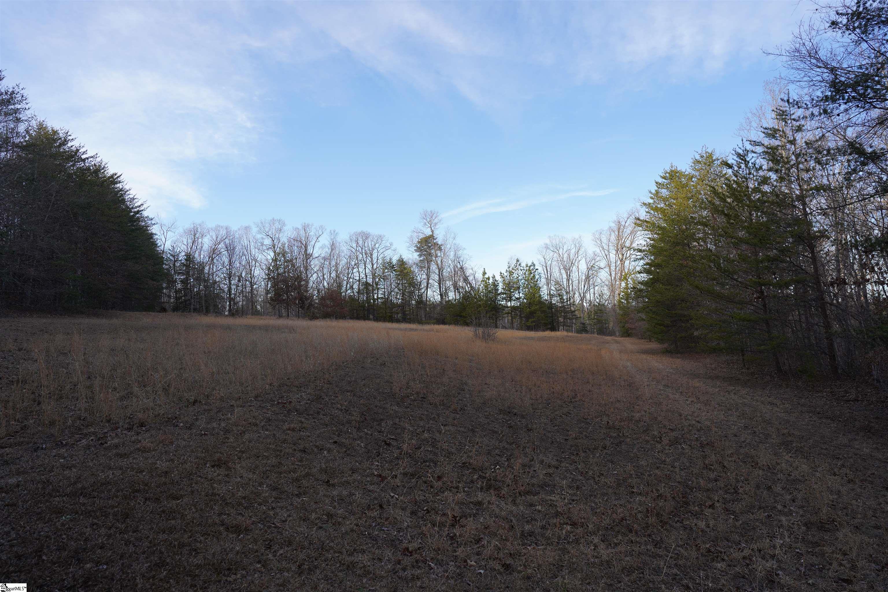 416 Bulls Road Property Photo 3