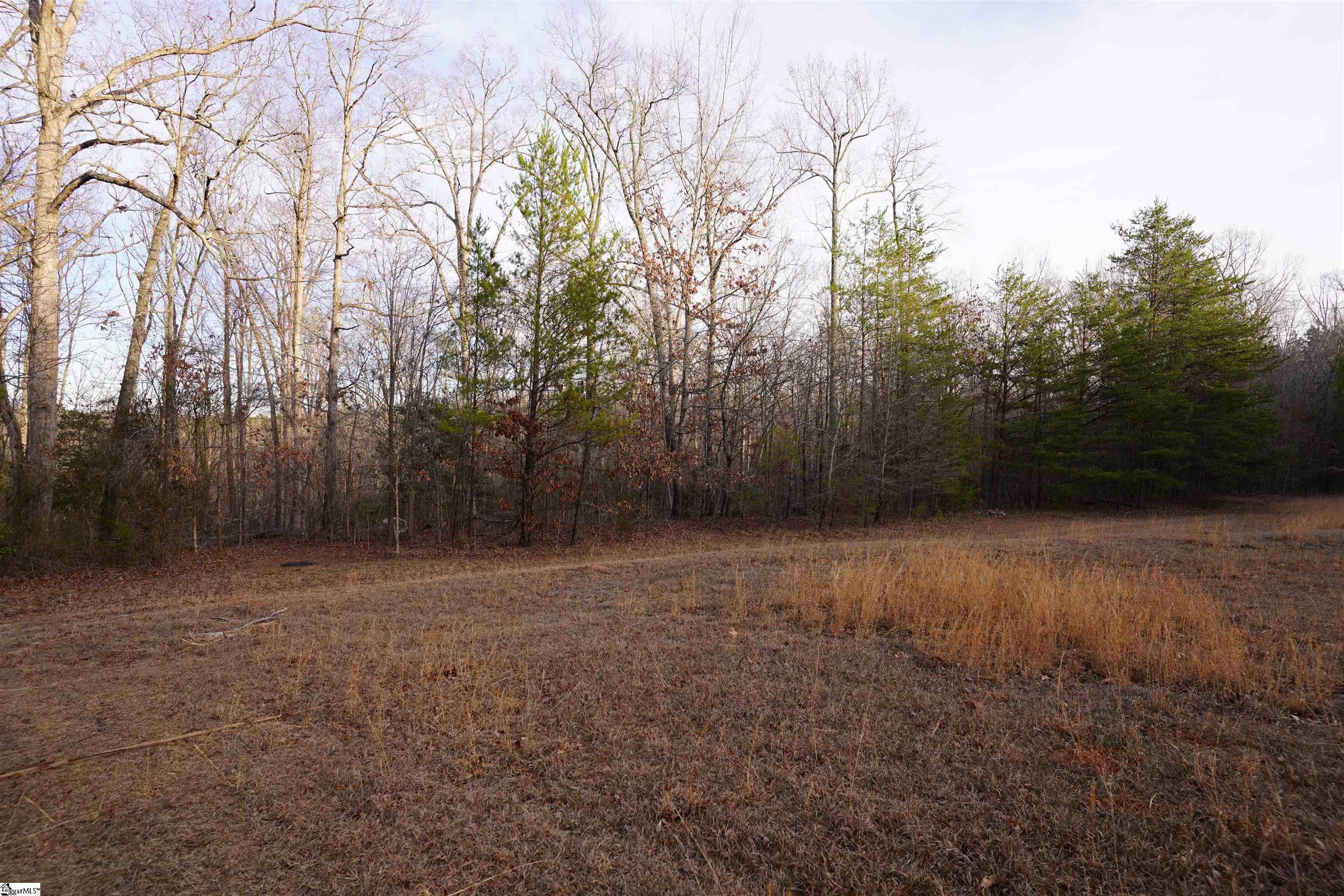 416 Bulls Road Property Photo 4