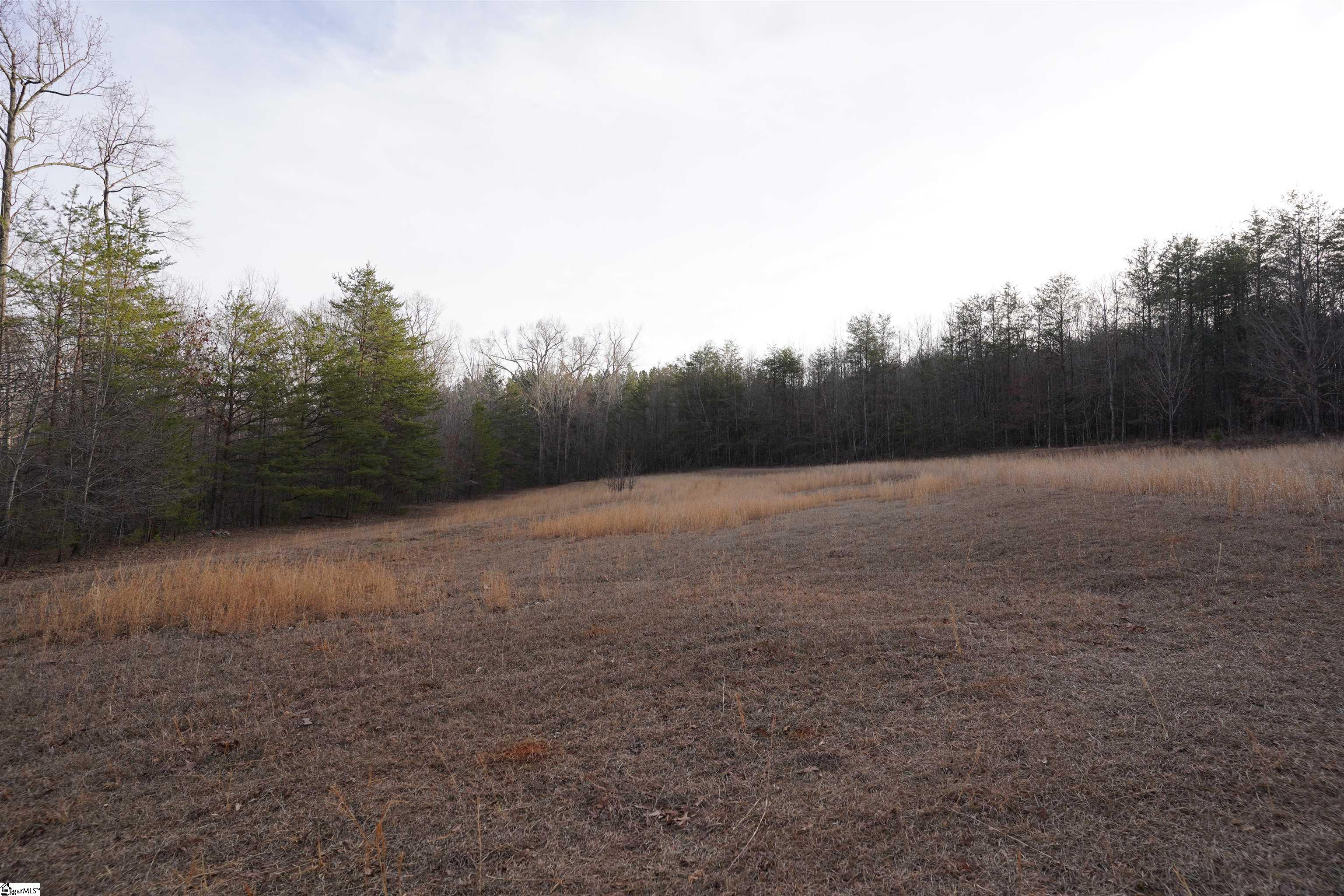 416 Bulls Road Property Photo 5