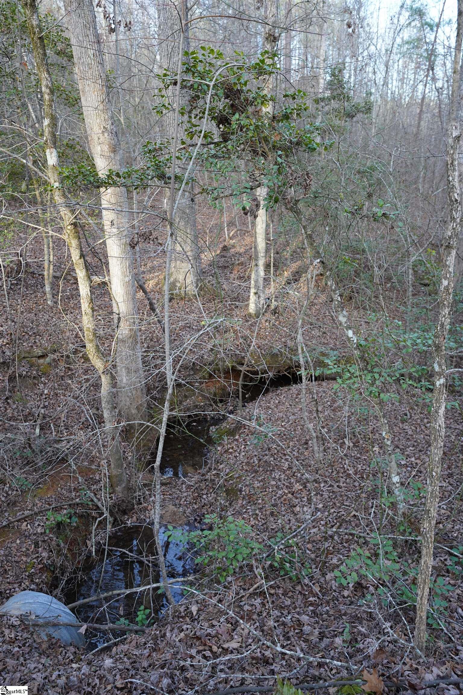 416 Bulls Road Property Photo 8