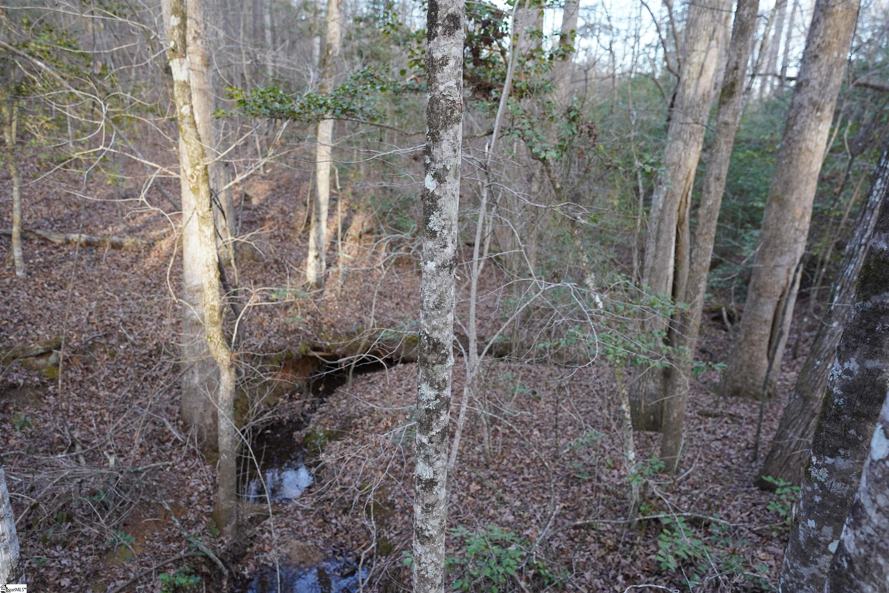 416 Bulls Road Property Photo 9