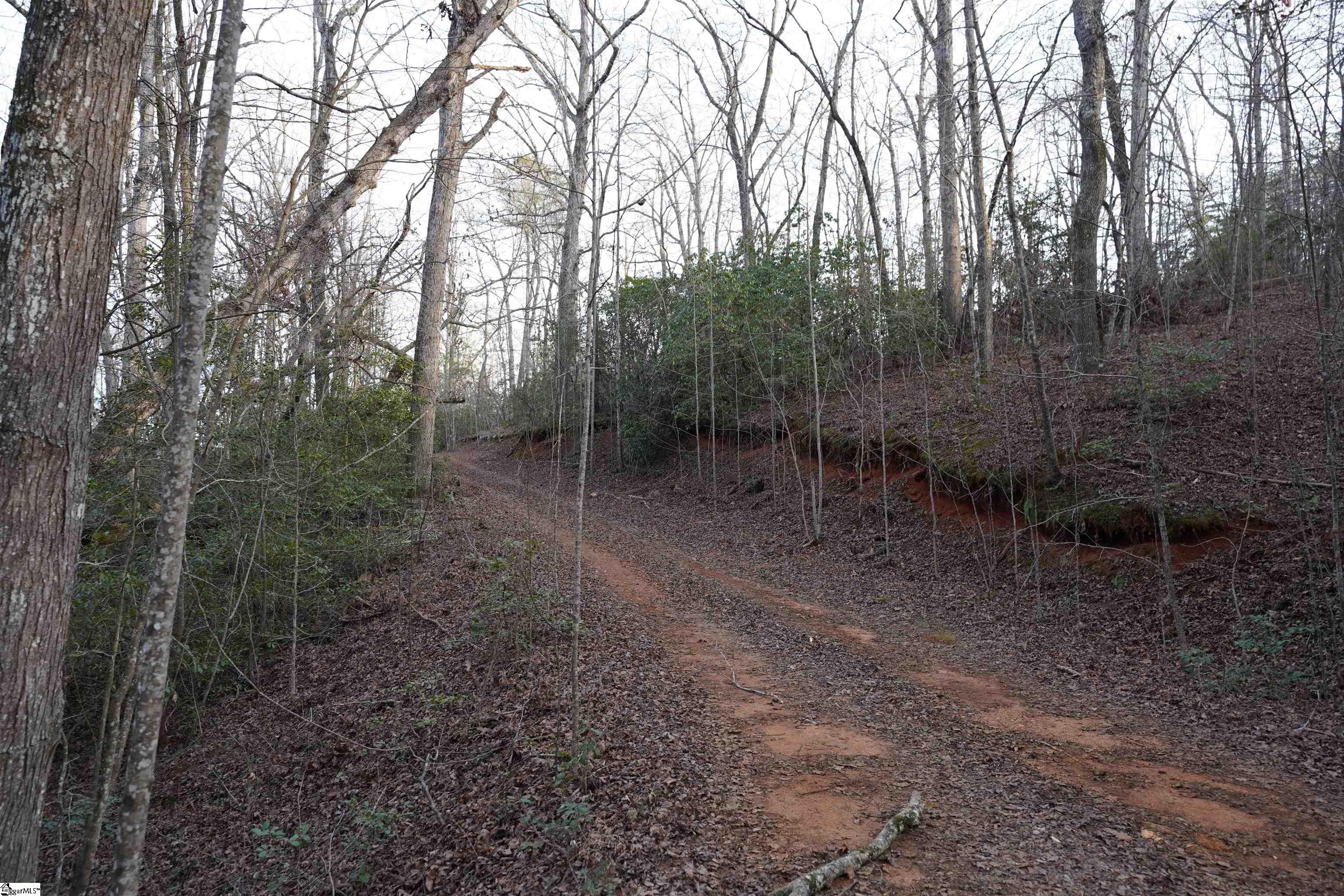 416 Bulls Road Property Photo 10