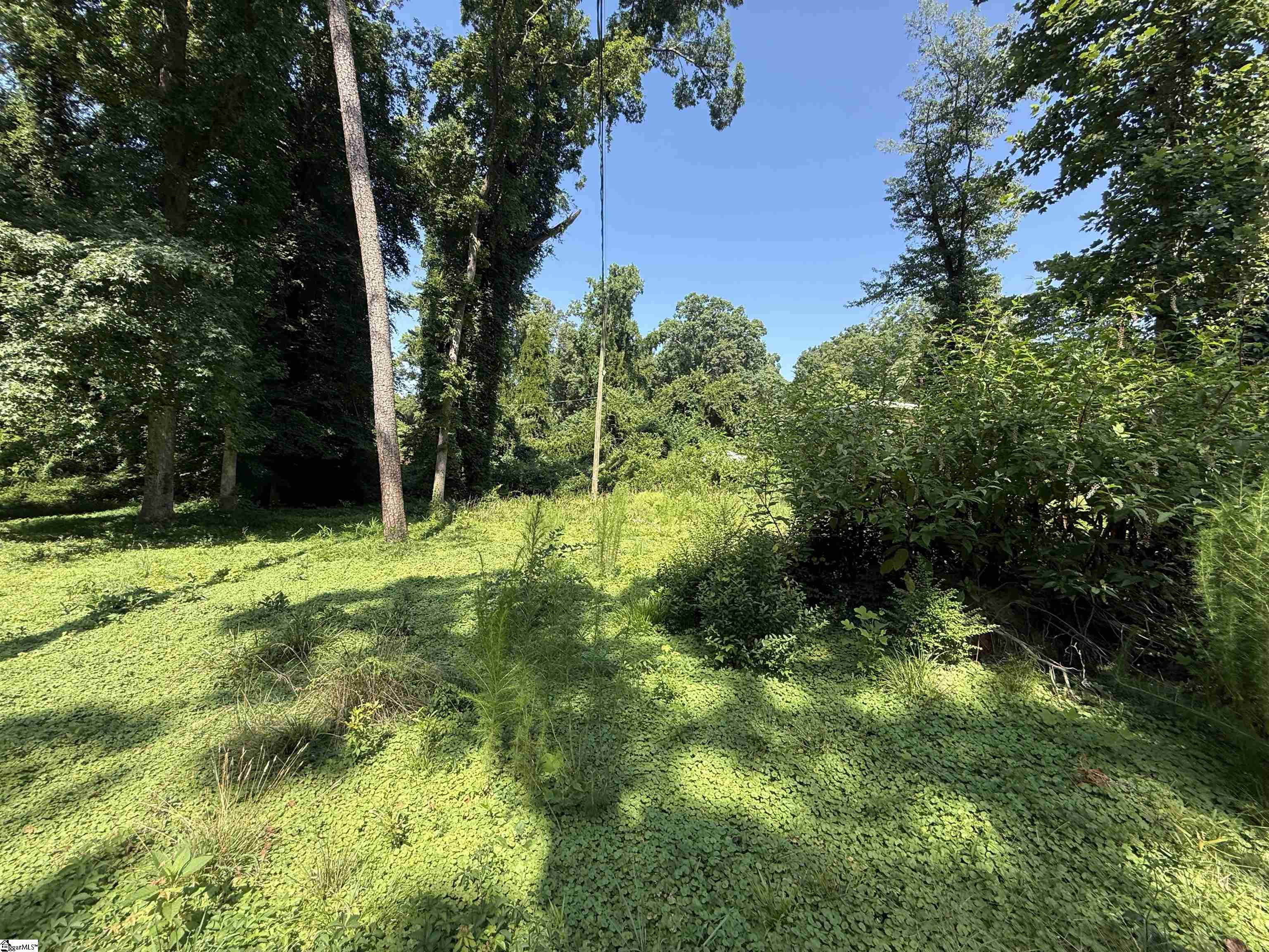 8861 Warren B Abernathy Highway Property Photo 3