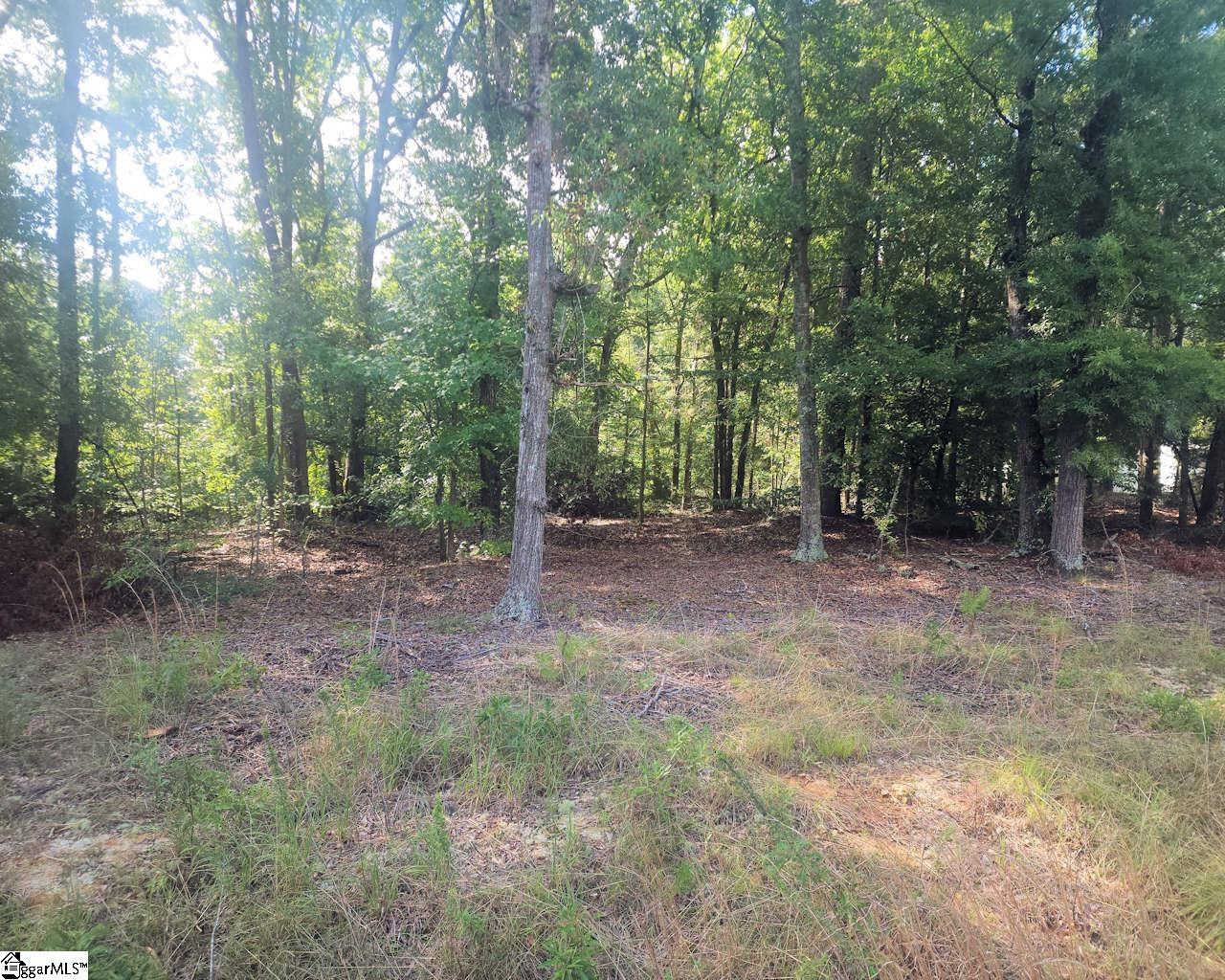220 Cook Street Property Photo 4