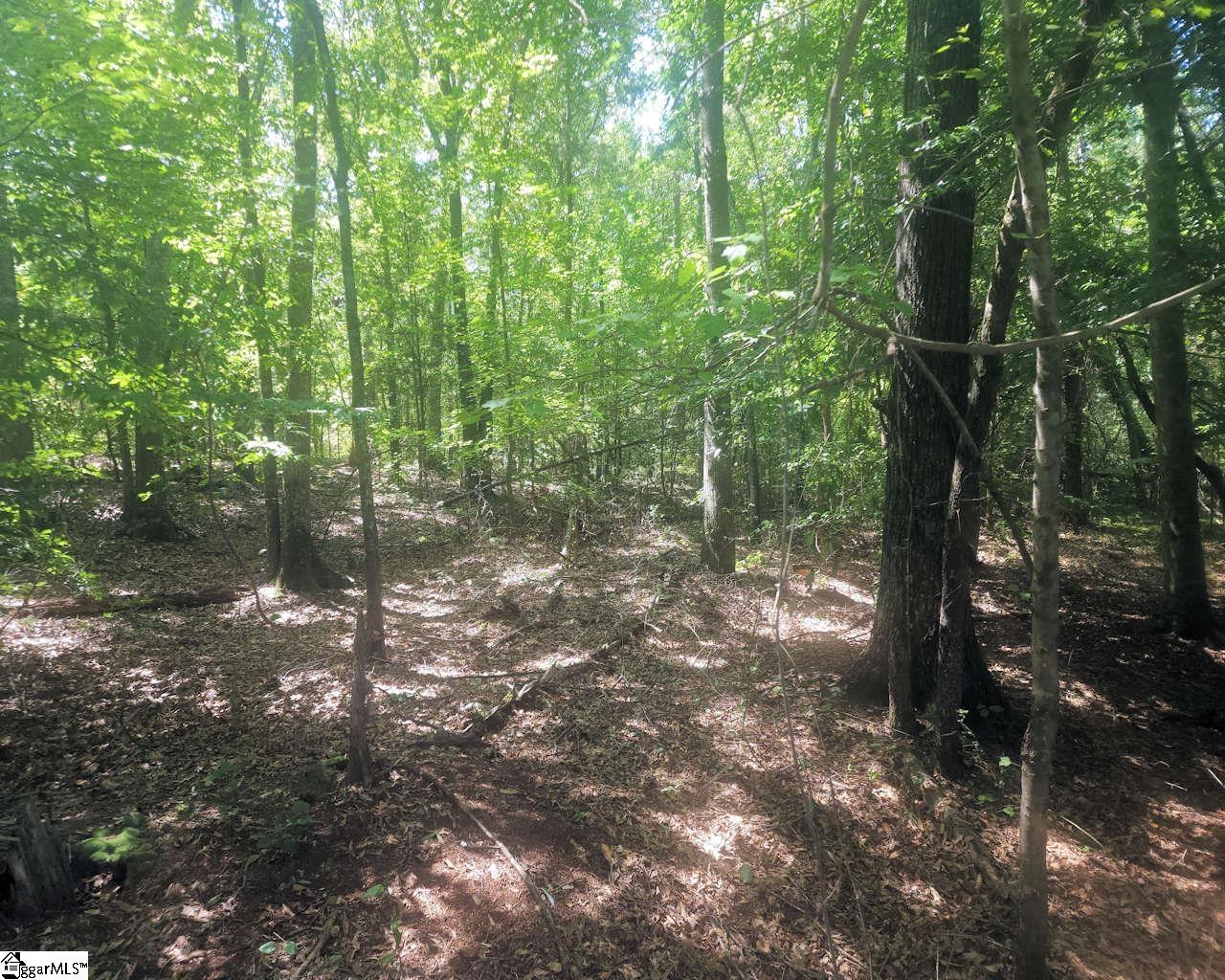 220 Cook Street Property Photo 9