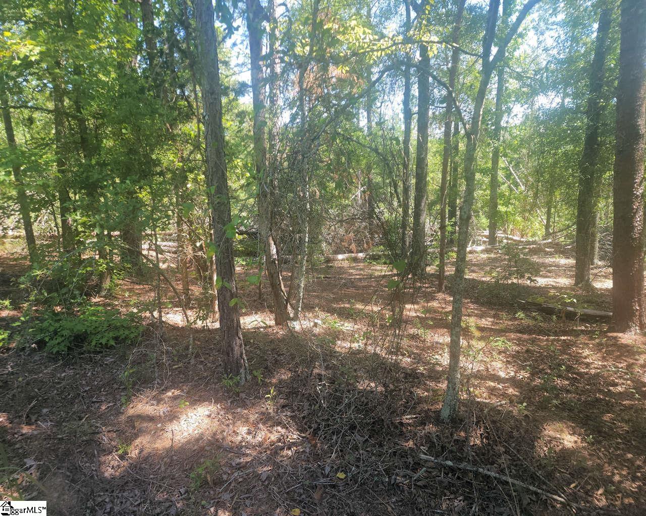 220 Cook Street Property Photo 10