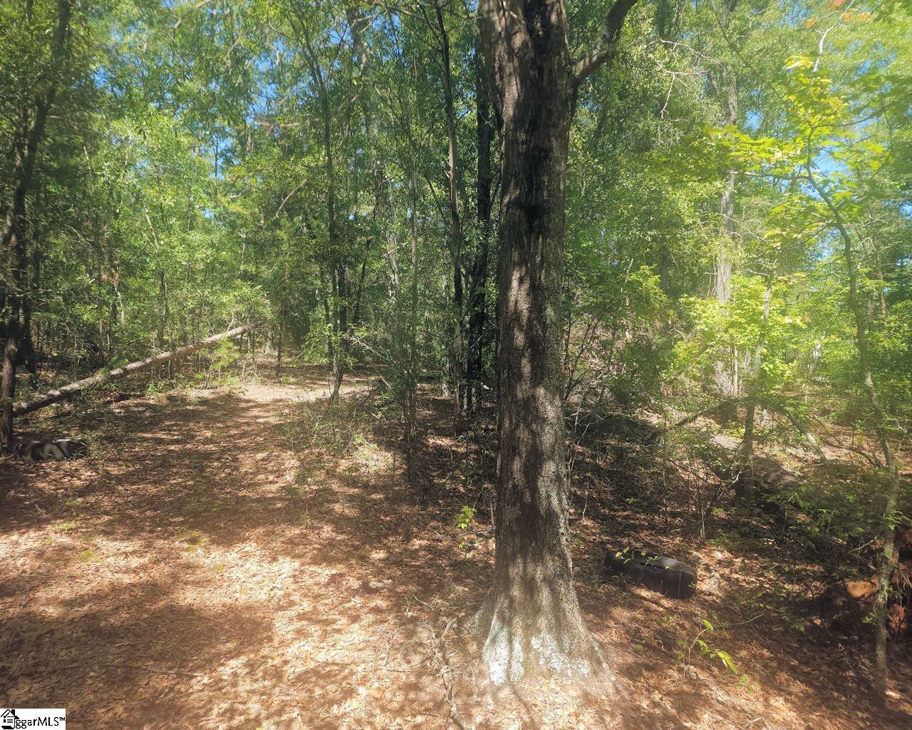 220 Cook Street Property Photo 13