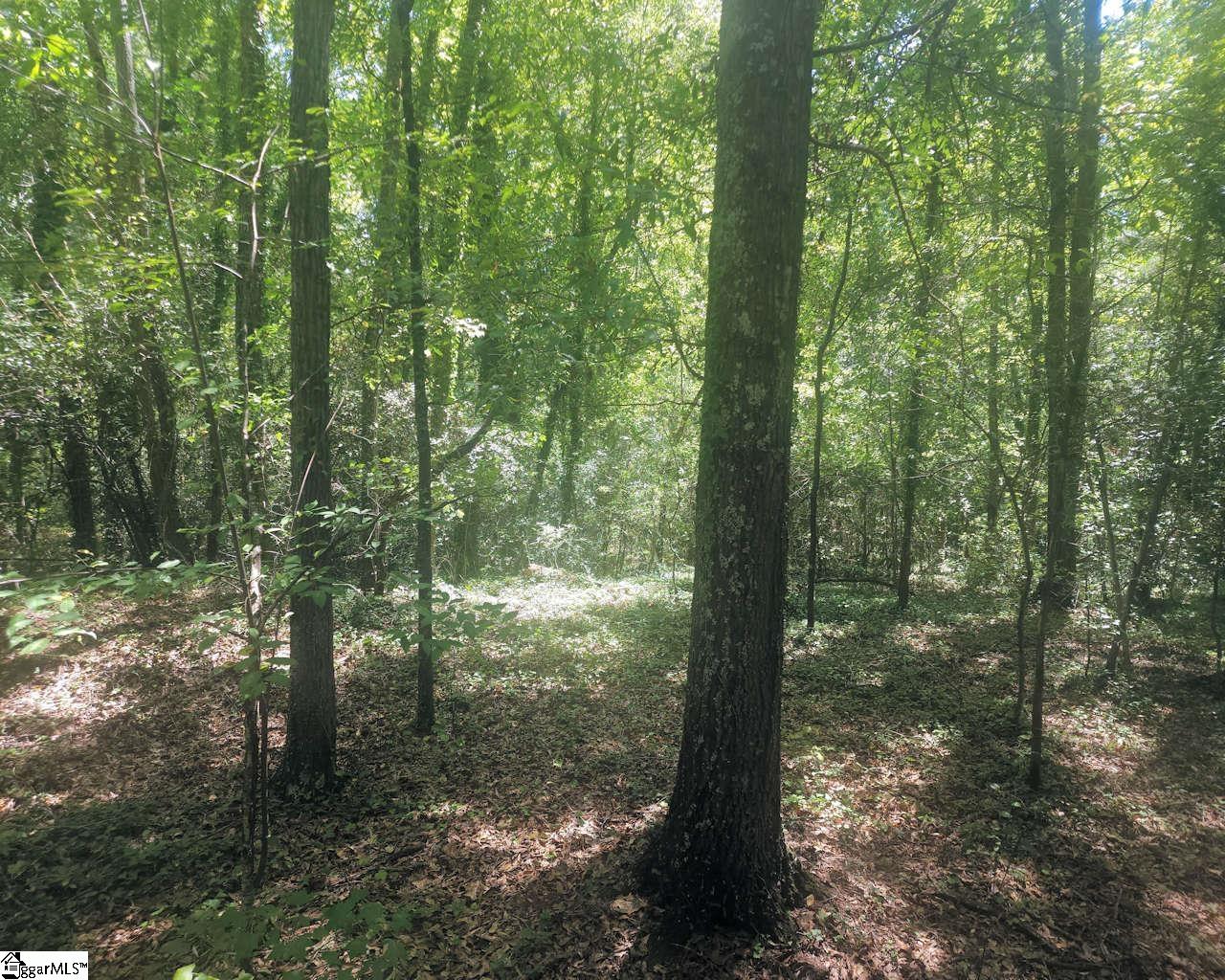 220 Cook Street Property Photo 16