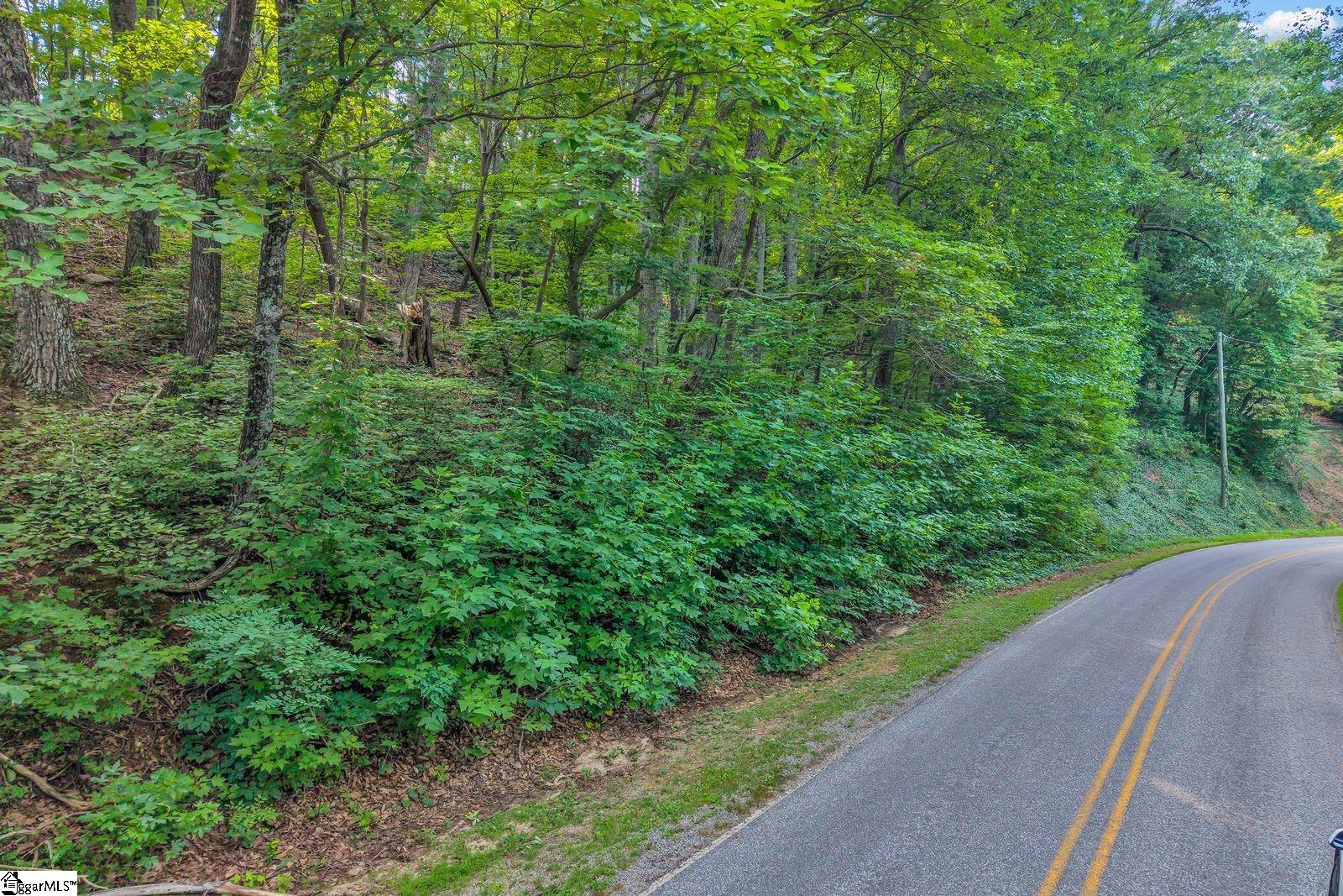 00 Hogback Mountain Road Property Photo 4