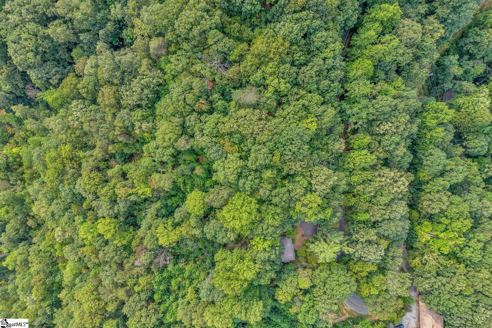 00 Hogback Mountain Road Property Photo 7