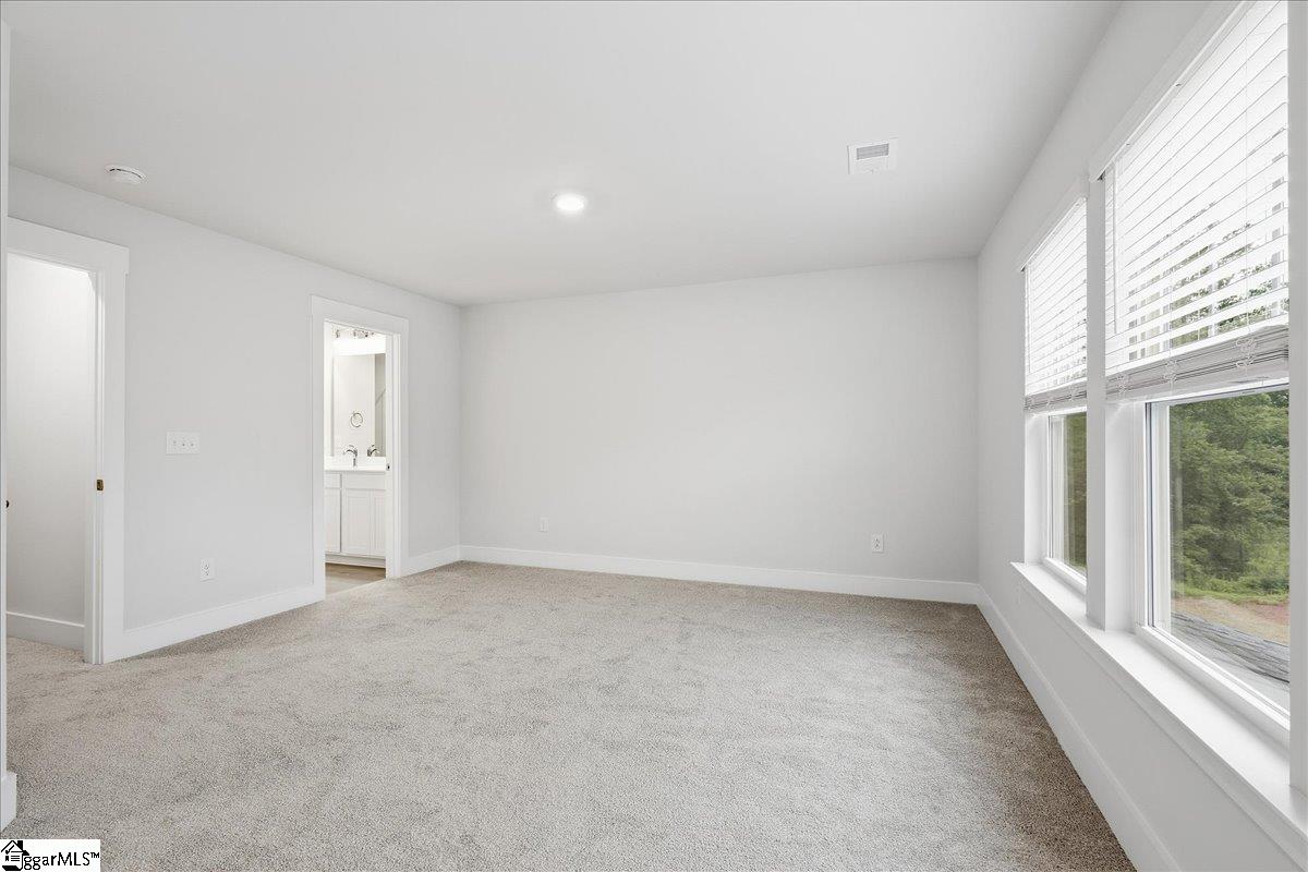 266 Telluride Way Property Photo 19