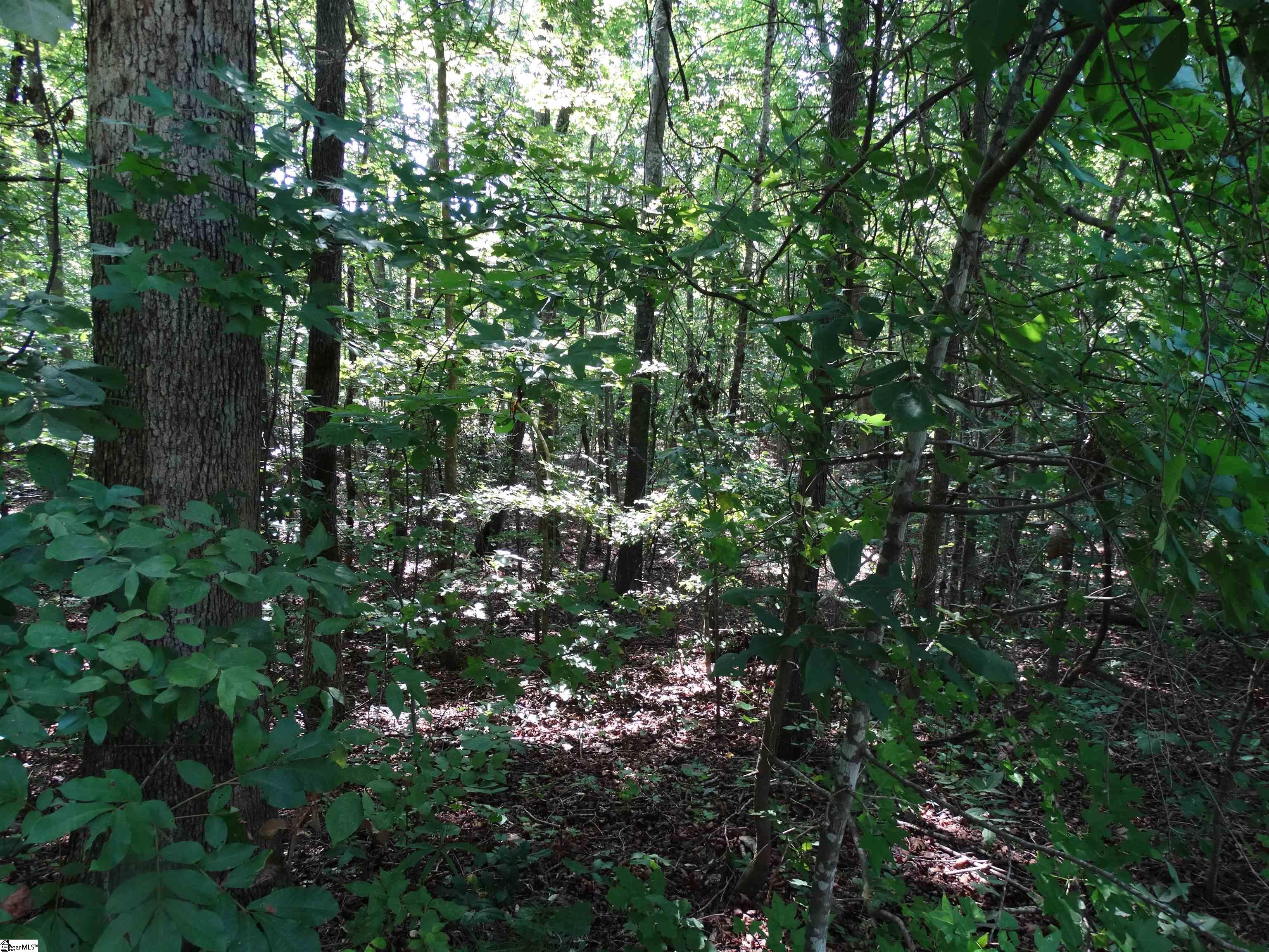 76 Tanyard Road Property Photo 3
